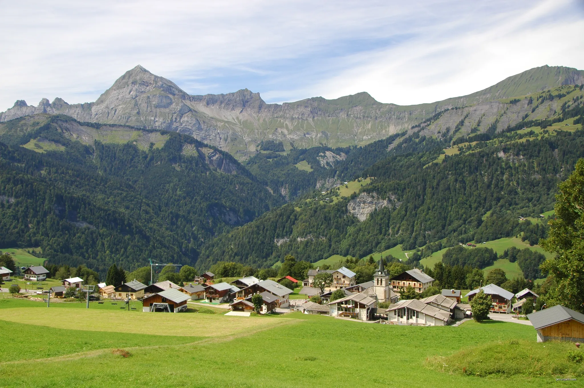 Les Chardons