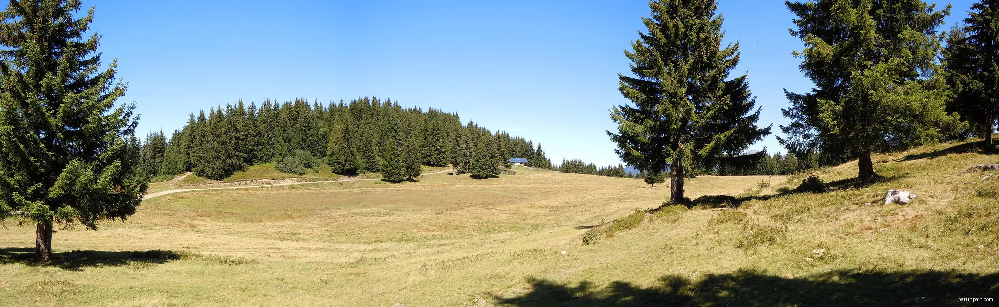 Le plateau