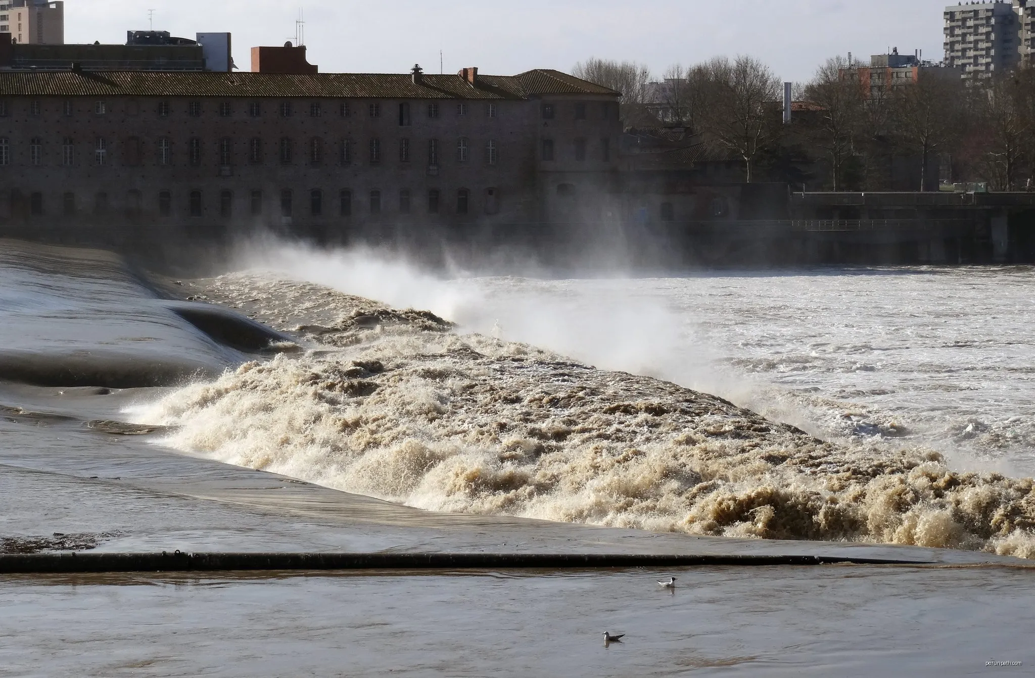 De Toulouse à Sainte-Foy