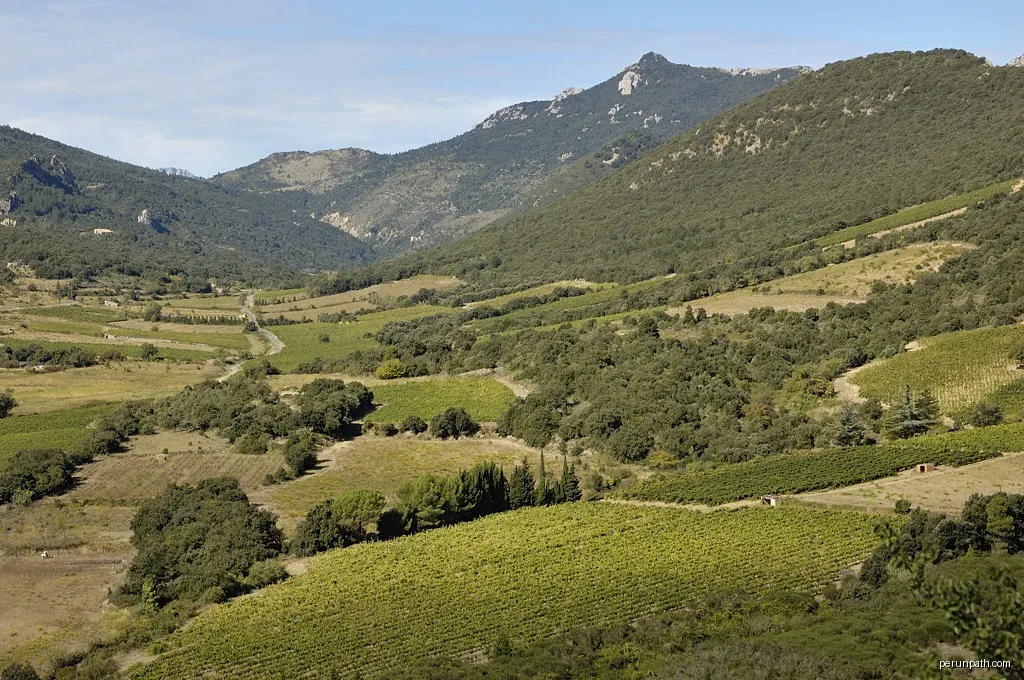 Cucugnan | Autor: Doronenko | Licencja: CC BY-SA 3.0 | Źródło: Wikimedia Commons