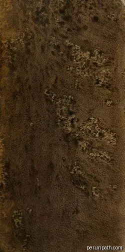 El Ventanón