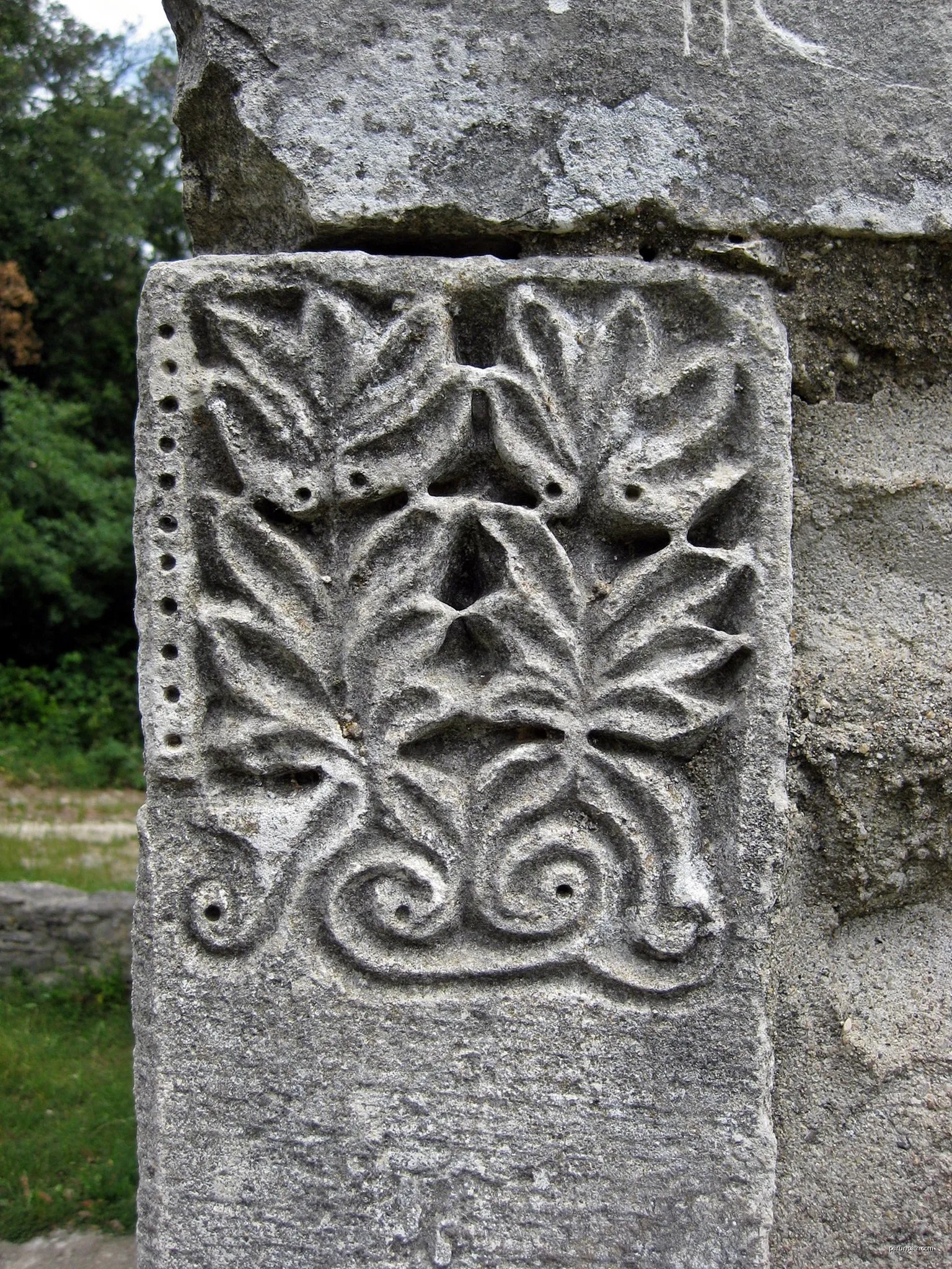 Chalon - Terre Longue