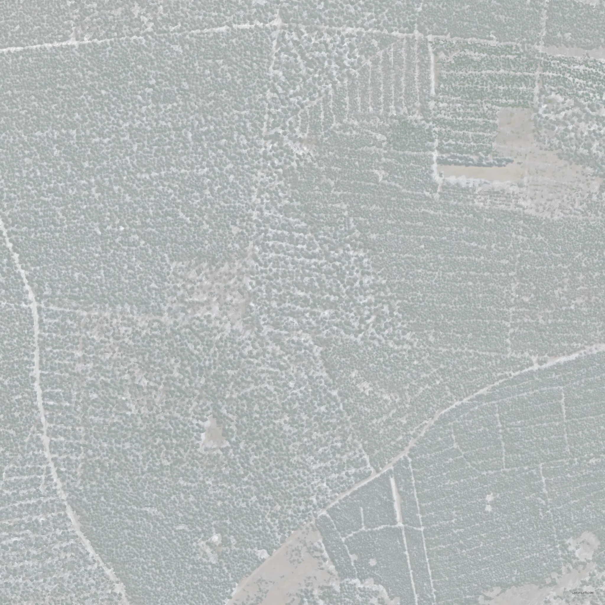 Digital orthophoto of Spree-Neiße in Brandenburg | Autor: GeoBasis-DE / LGB | Licencja: dl-de/by-2-0 | Źródło: Wikimedia Commons