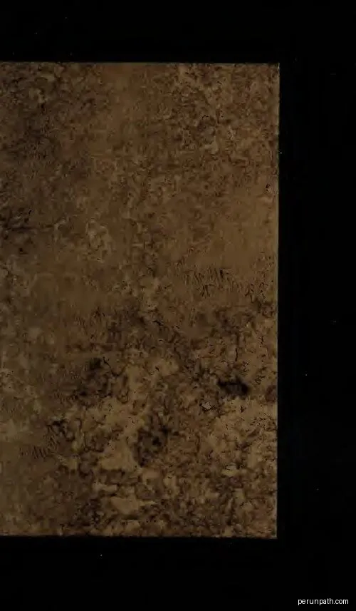 Le chemin de Carcès