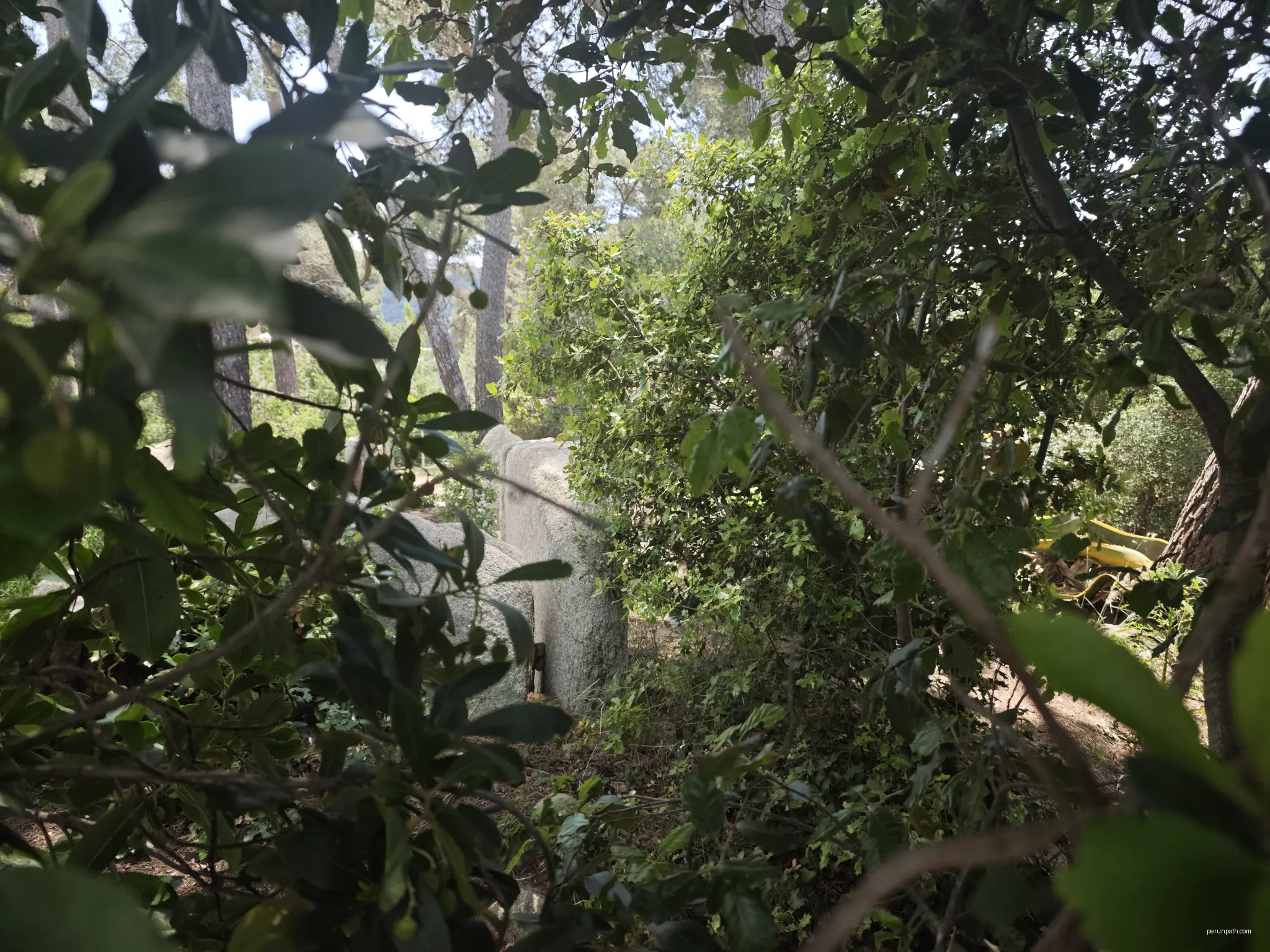Ruta Prehistòrica I : Can Gol-Céllecs