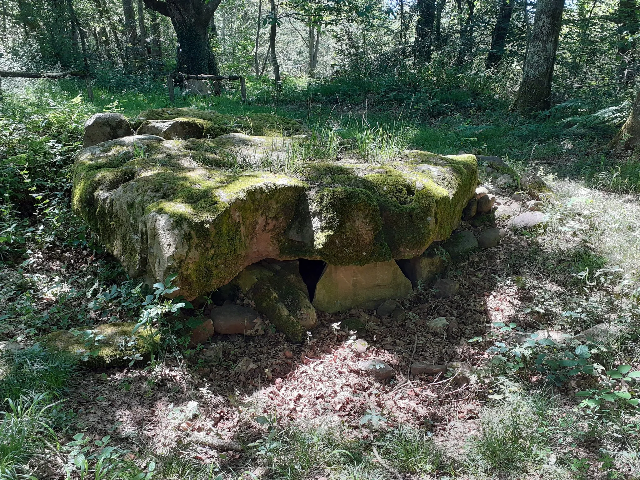 Bois de Goès et Précilhon