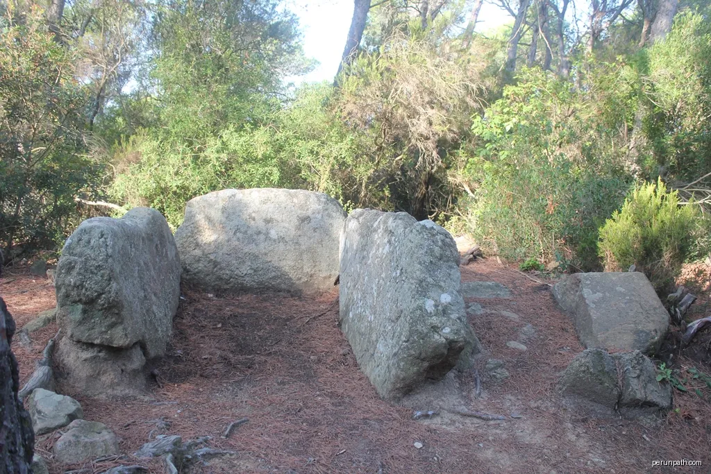 Dolmen Can Goll II | Autor: Clemens Schmillen | Licencja: CC BY-SA 4.0 | Źródło: Wikimedia Commons