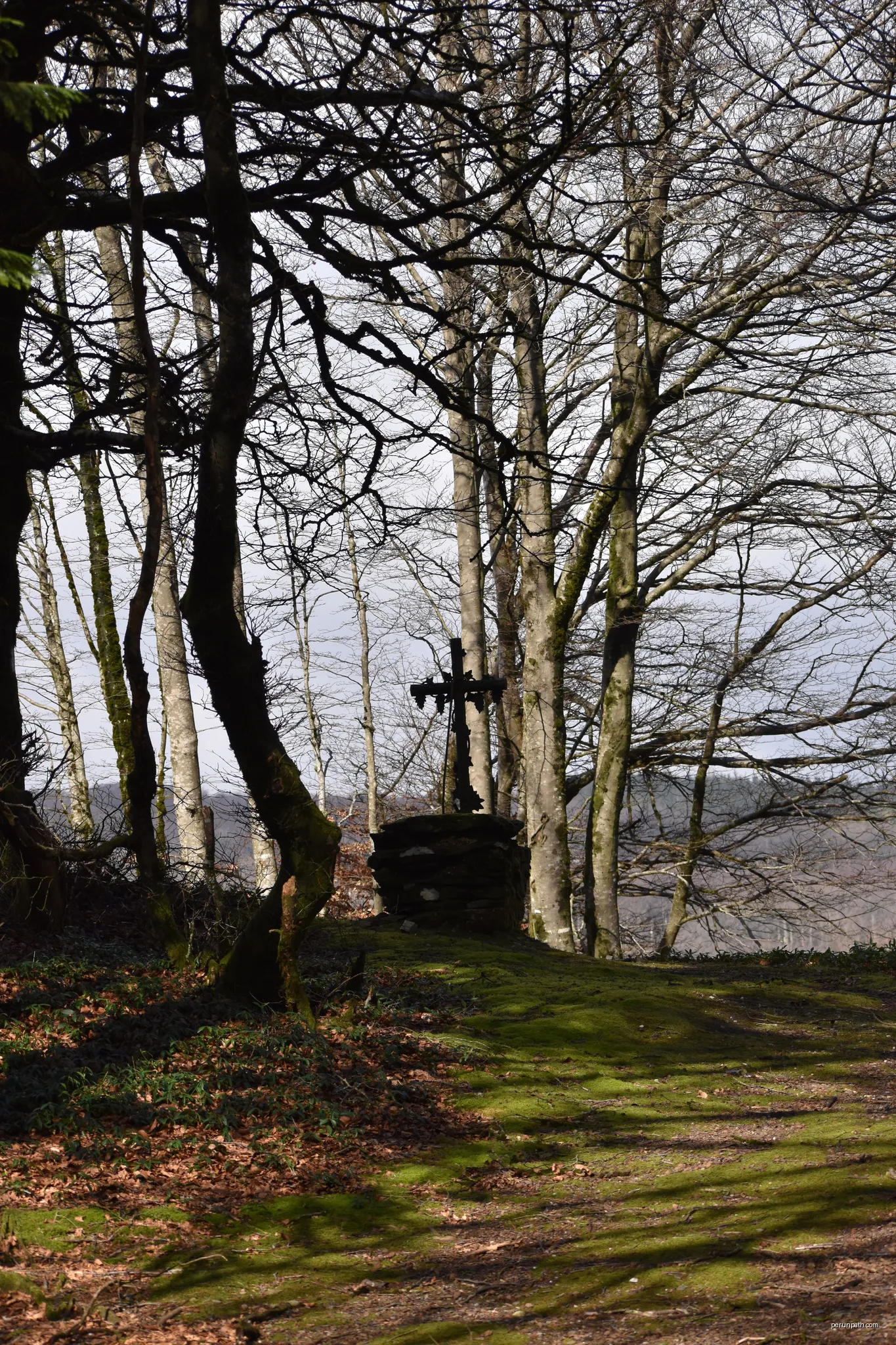 Forêt domaniale des Soulanes de Nore : Croix au col de Salettes | Autor: Tylwyth Eldar | Licencja: CC BY-SA 4.0 | Źródło: Wikimedia Commons