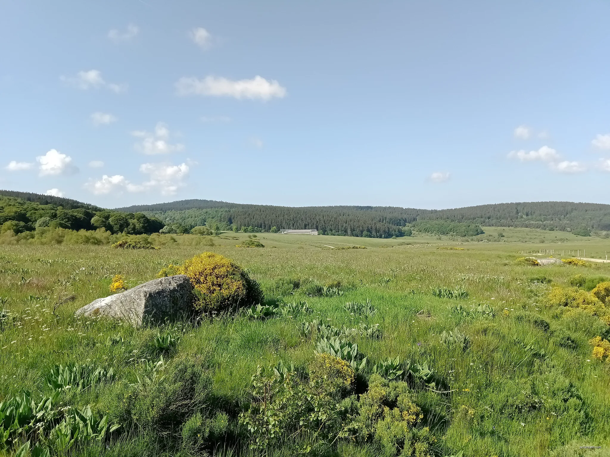 Grande Traversée du Massif Central à VTT - Domaine du Sauvage / Baraque des Bouviers