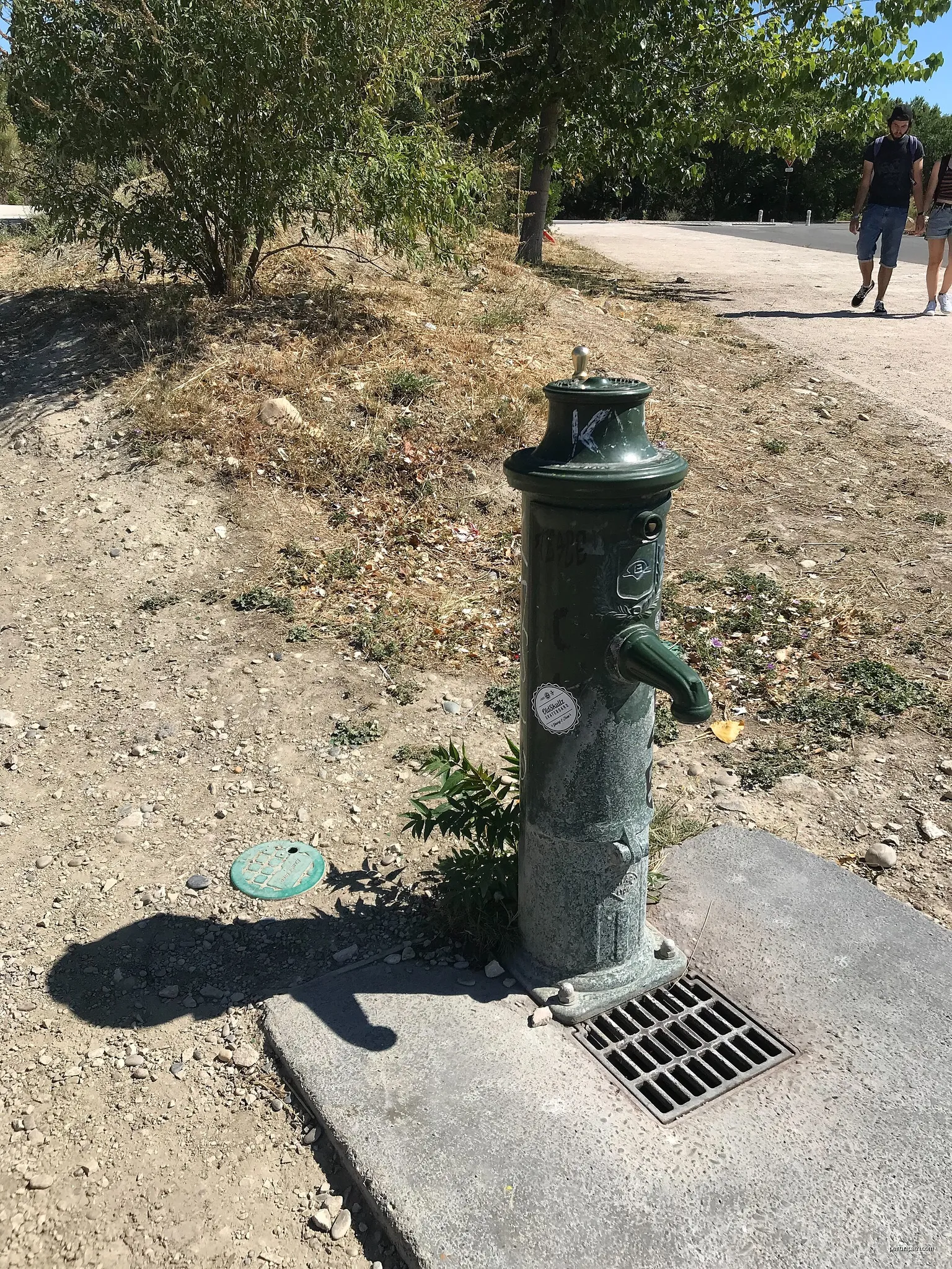 Balade de l'île de la Barthelasse à vélo