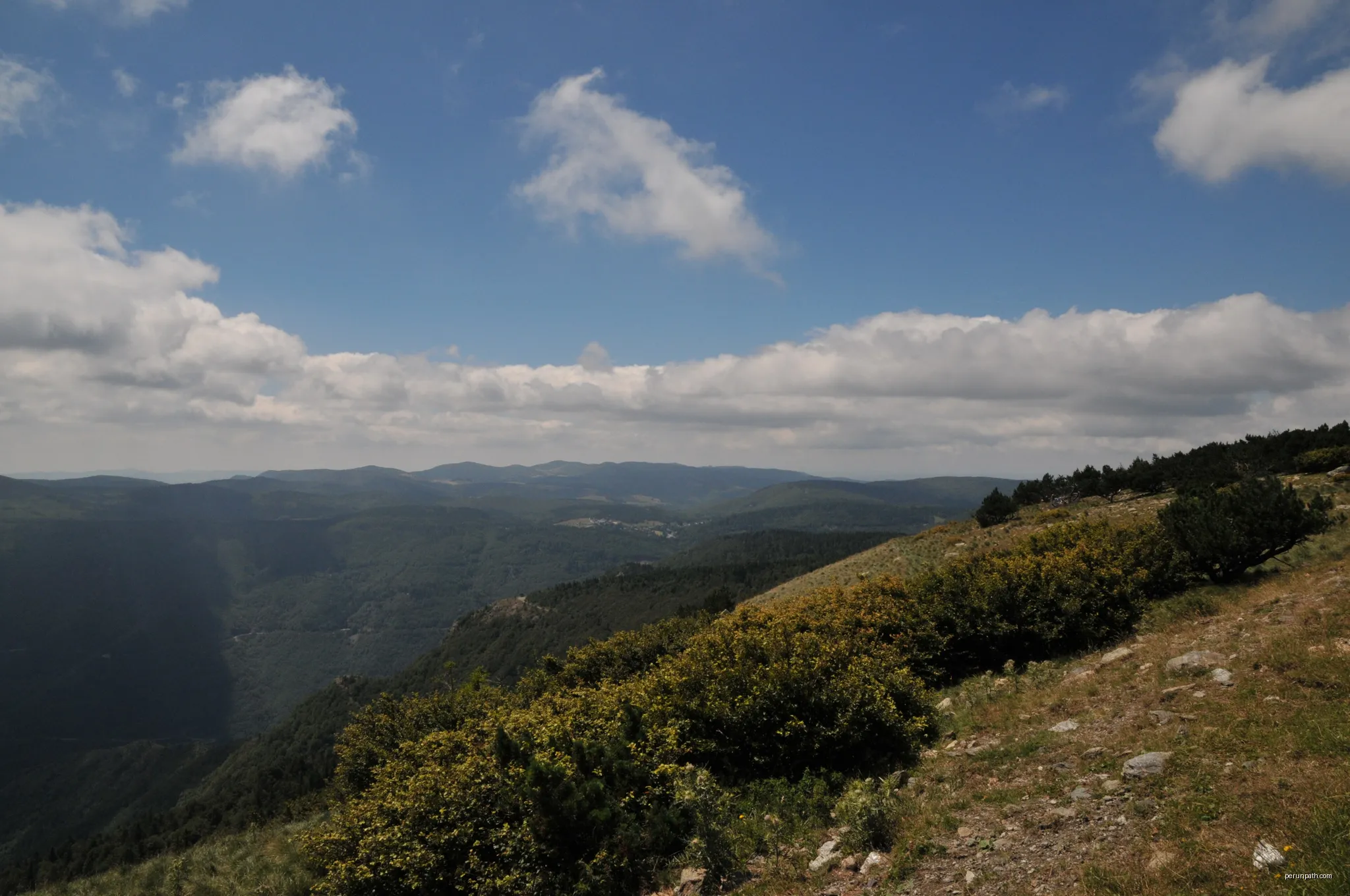 Le versant nord de l'Aigoual