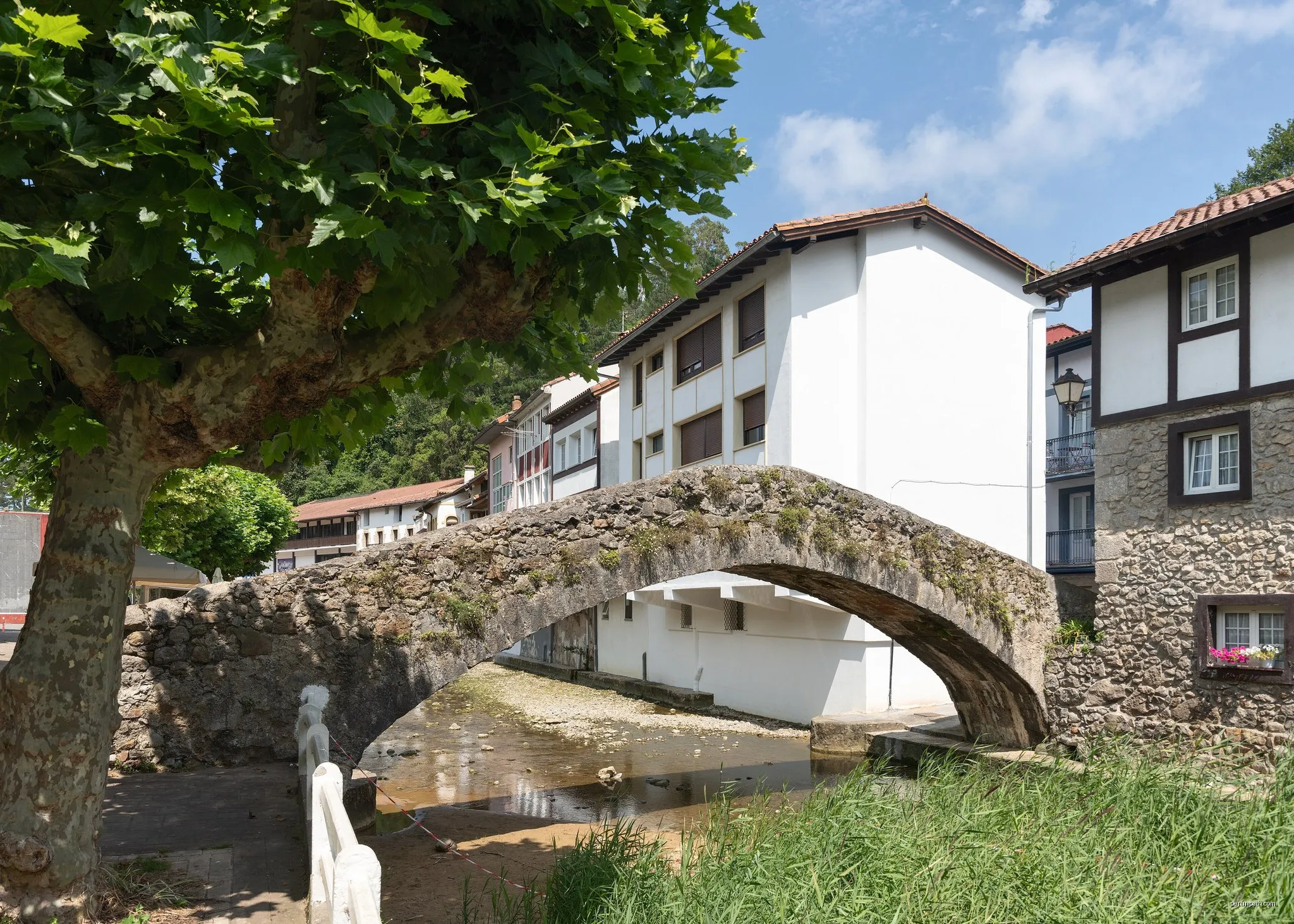 Letaniak bidezidorra