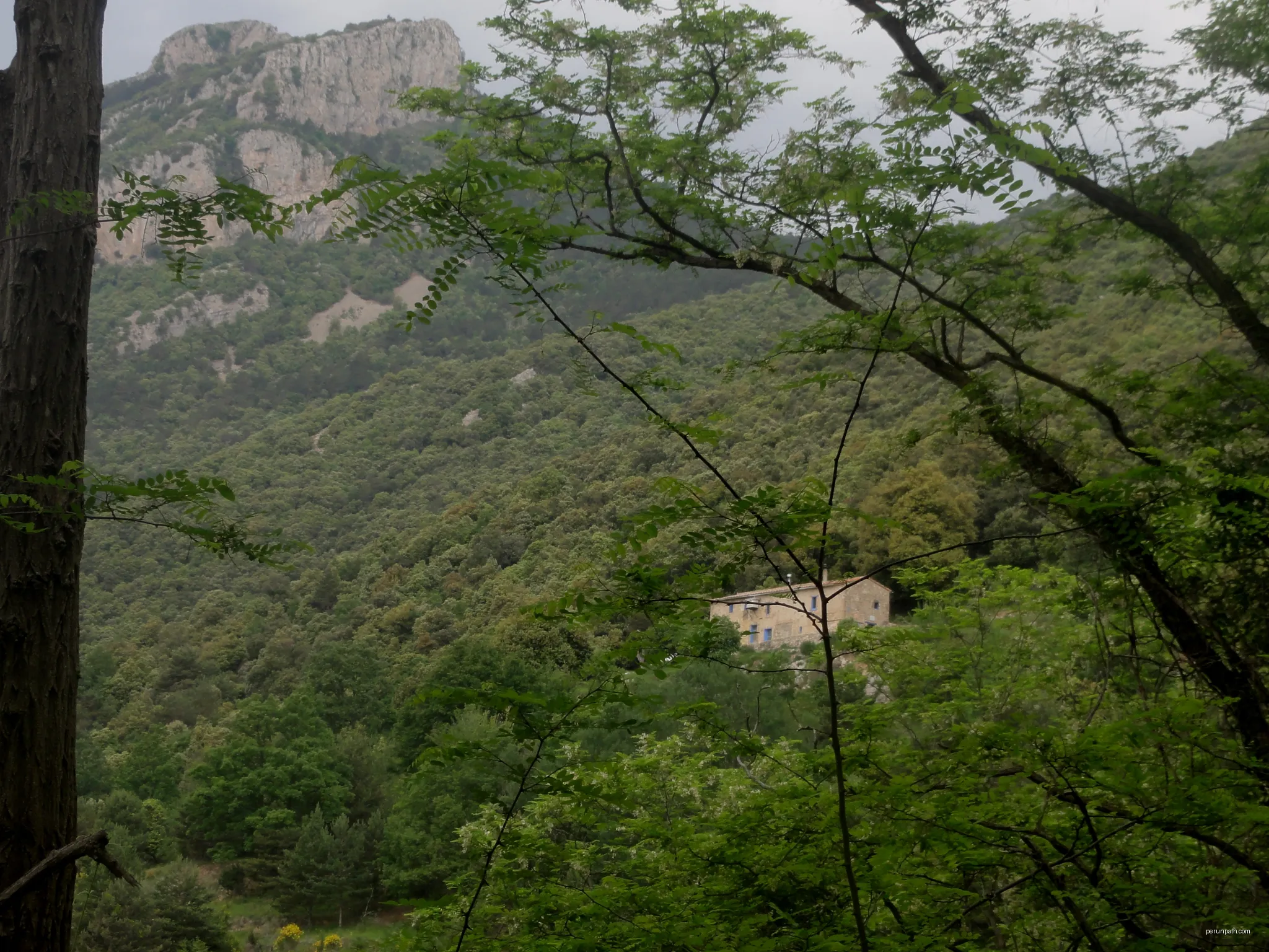 Alta Garrotxa | Autor: Isidro Jabato | Licencja: CC BY-SA 4.0 | Źródło: Wikimedia Commons