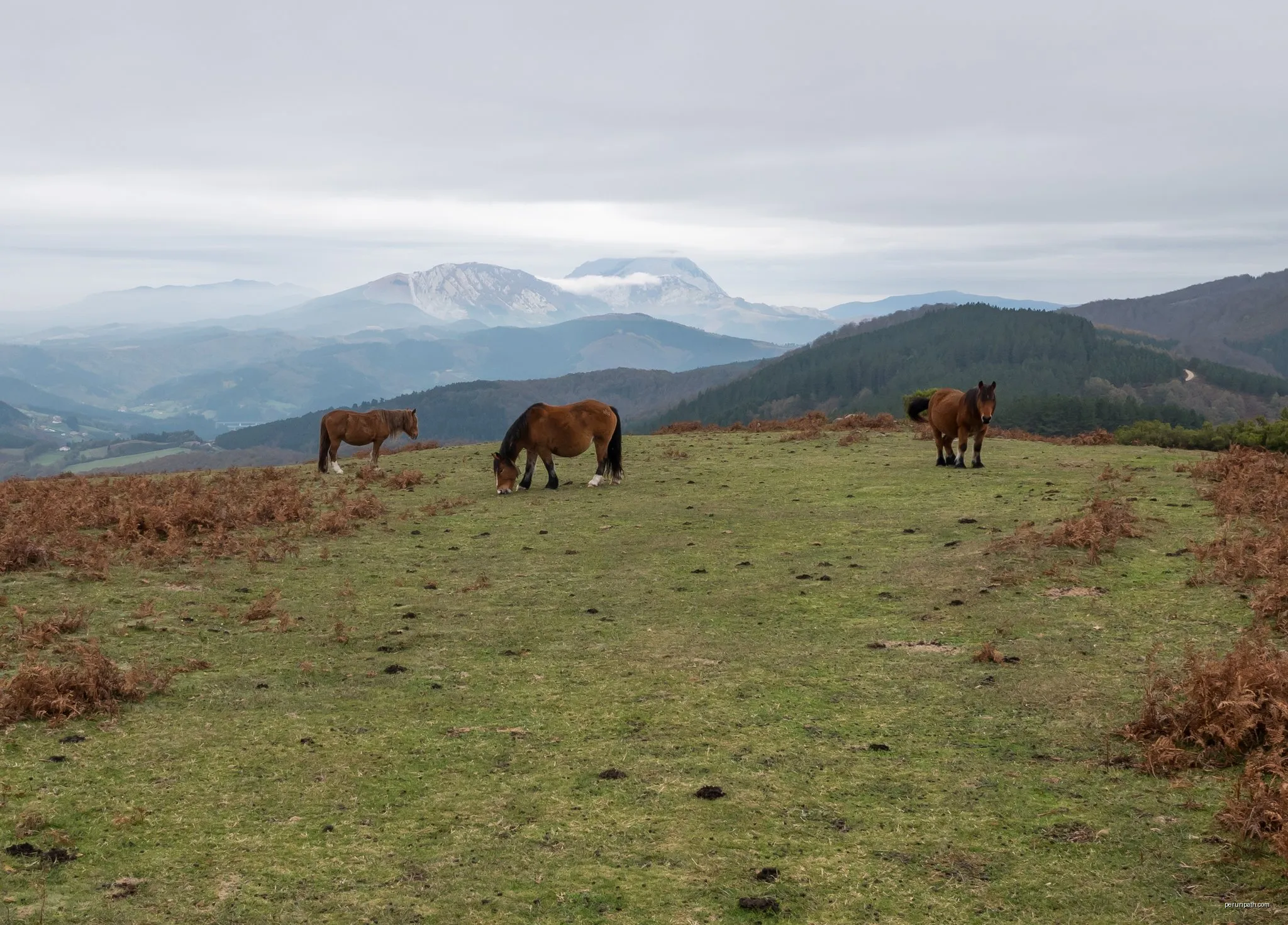 Camino de Santa Marina