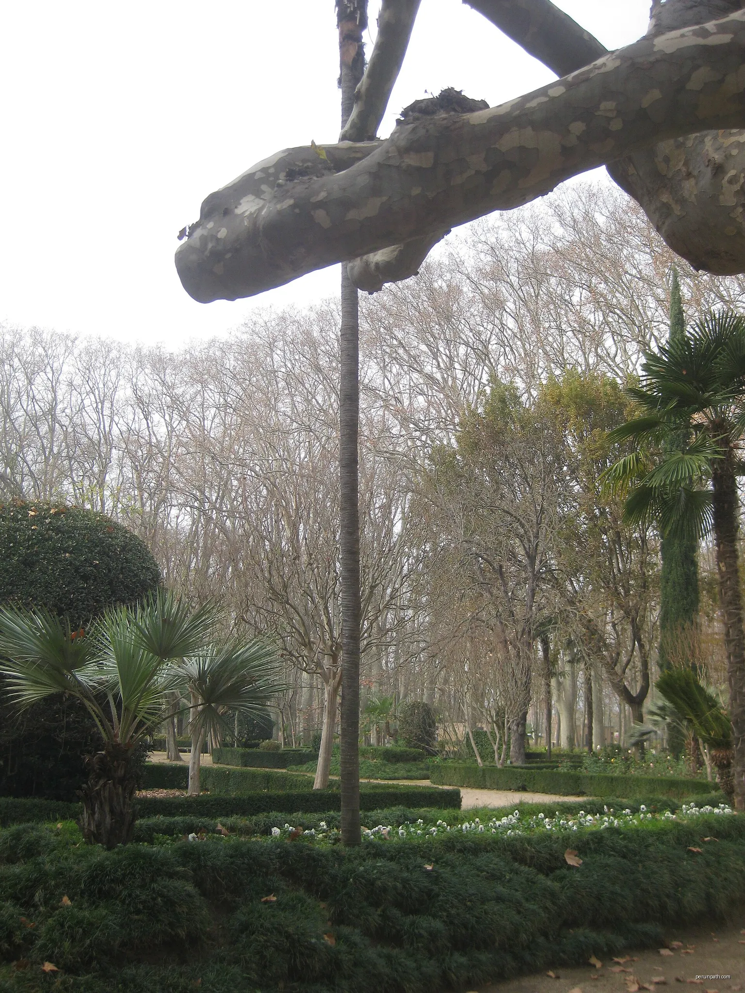 Els Jardins Francesos del parc de la Devesa (Girona) | Autor: Crispica | Licencja: CC BY-SA 4.0 | Źródło: Wikimedia Commons