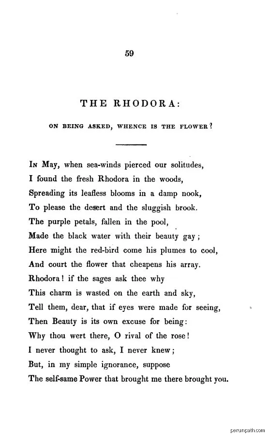 Les rhododendrons