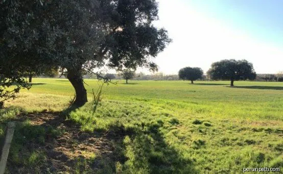 Camino del Adaja