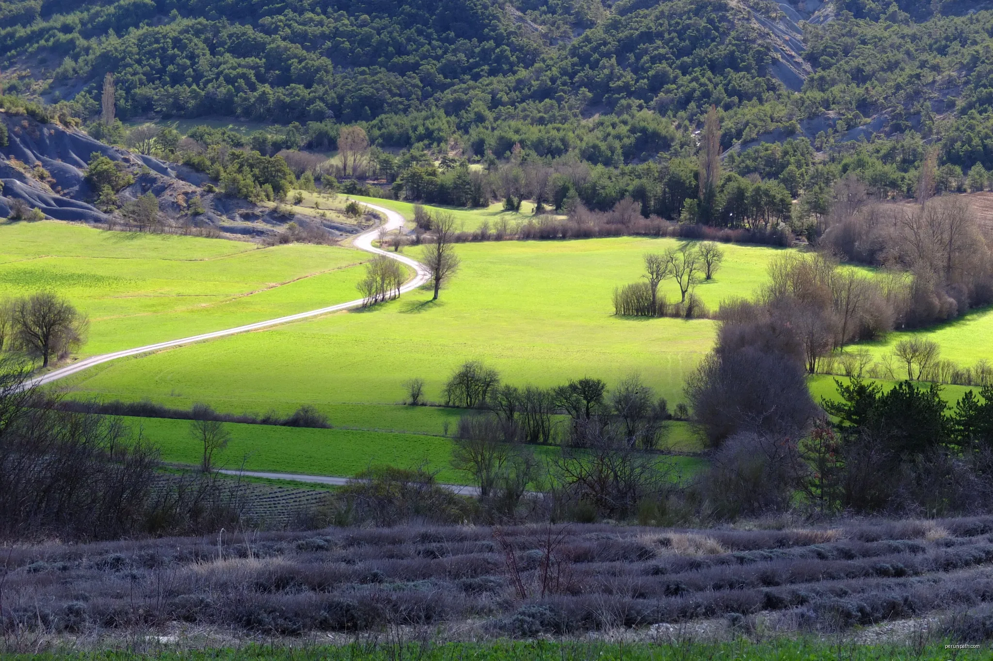 Saint-Cyrice