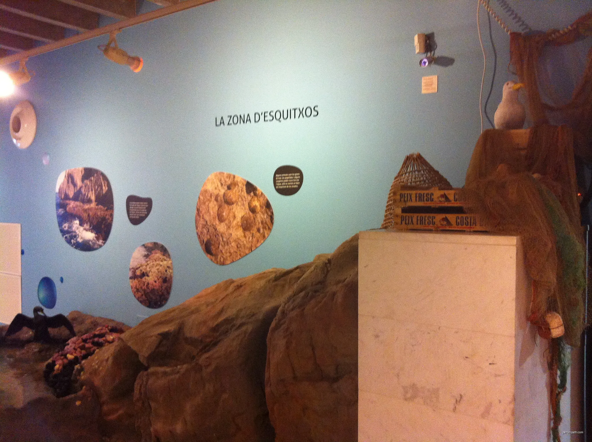 Exhibit about the Medes Islands at Museu de la Mediterrània, Torroella de Montgrí, Catalonia | Autor: Kippelboy | Licencja: CC BY-SA 3.0 | Źródło: Wikimedia Commons