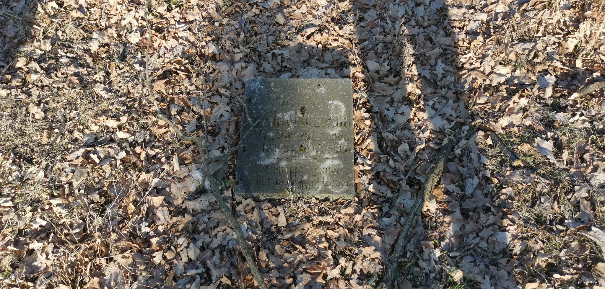 Denkmalgeschützter Familienfriedhof der Familien von Patow und Houwald in Groß Jehser | Autor: Z thomas | Licencja: CC BY-SA 4.0 | Źródło: Wikimedia Commons