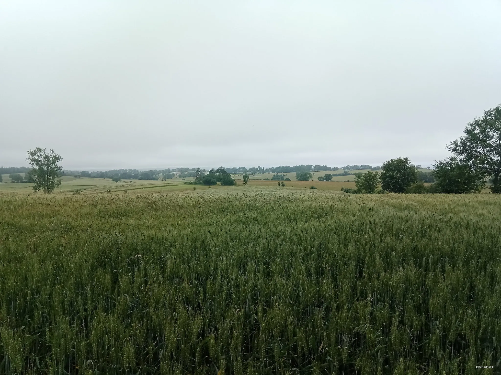 Le circuit des falaises