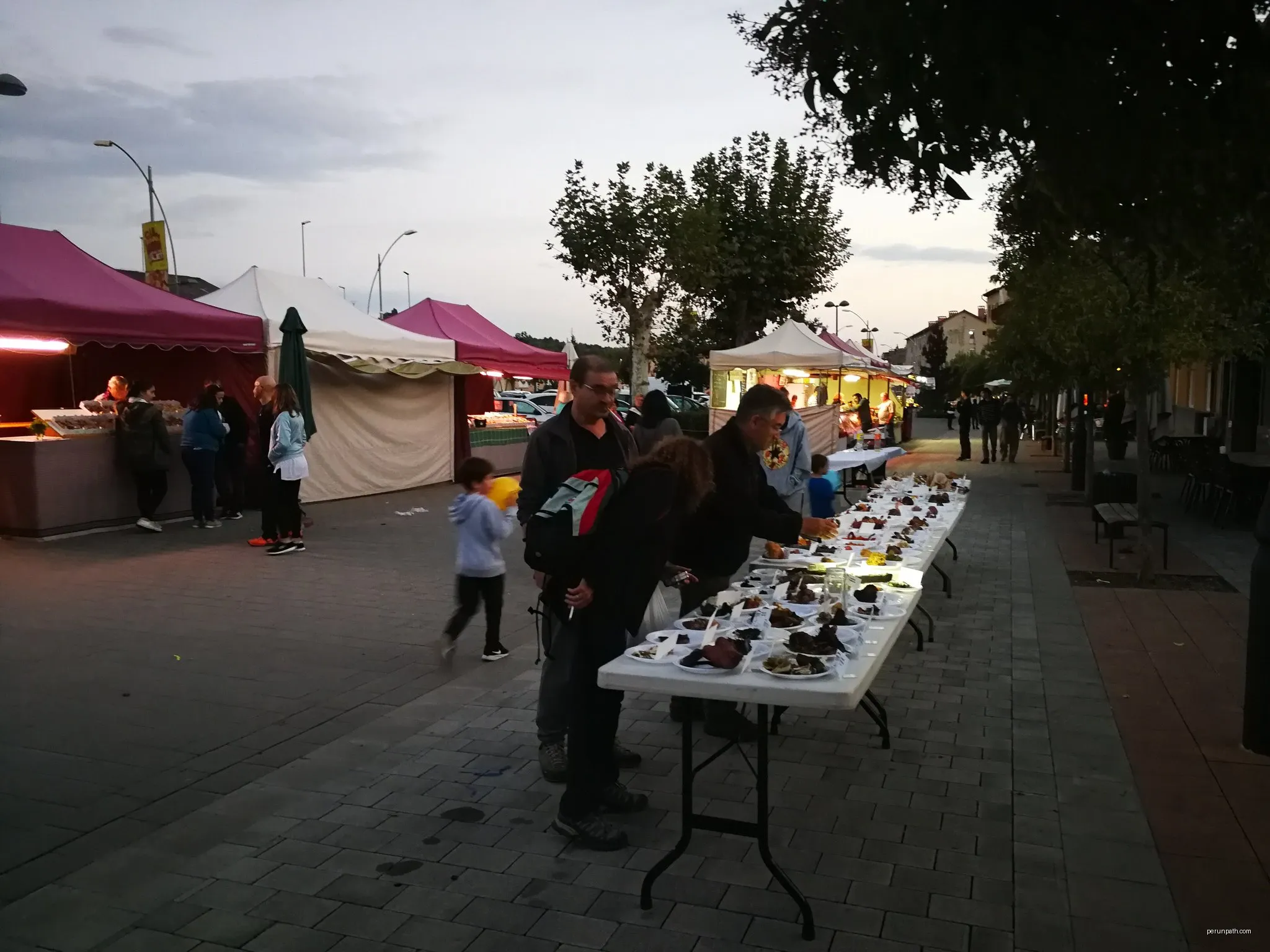 Via Verda del Llobregat