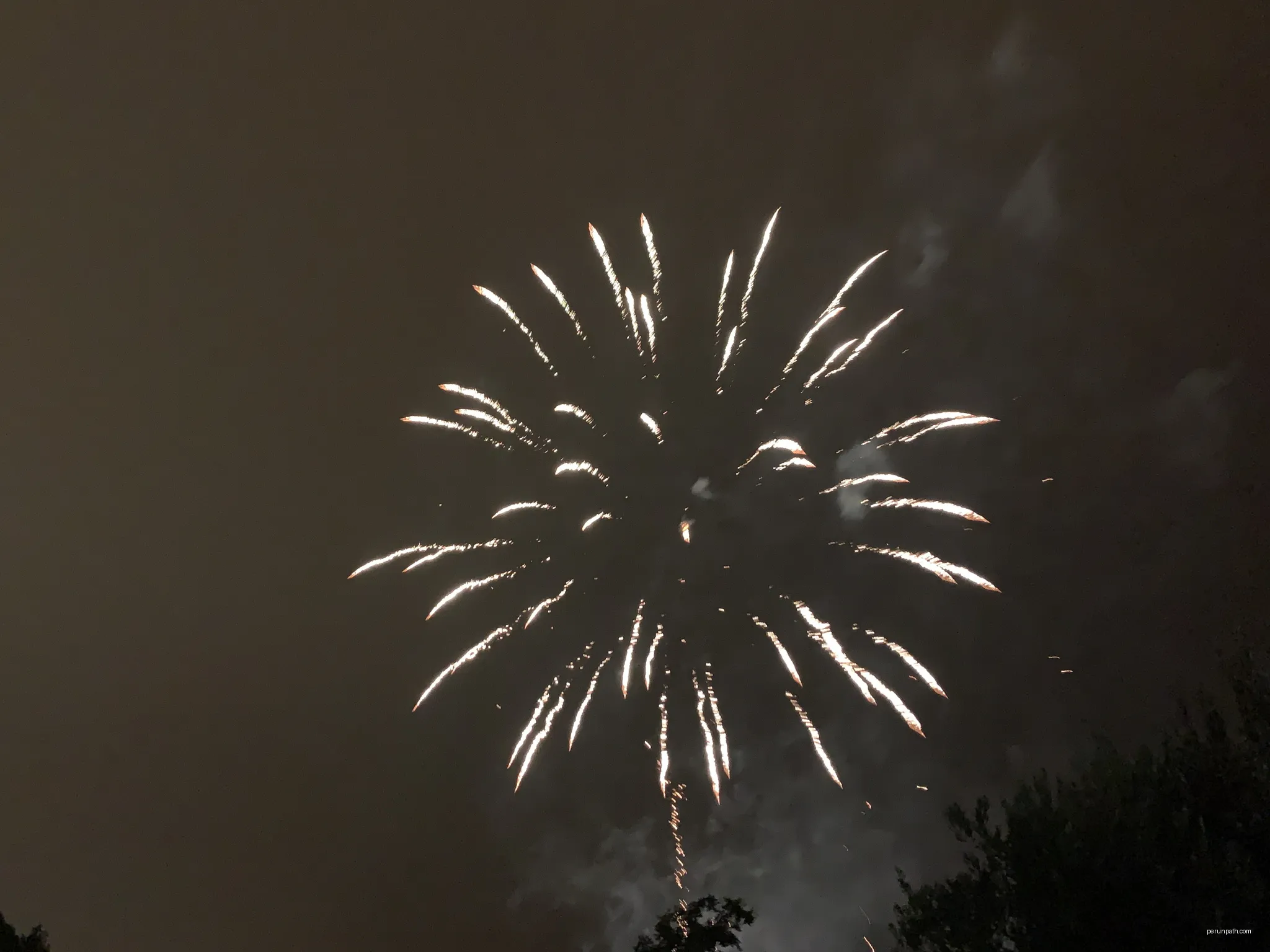 Feu d'artifice au lac Jean-Marie Rouché, Le Crès. | Autor: Chabe01 | Licencja: CC BY-SA 4.0 | Źródło: Wikimedia Commons