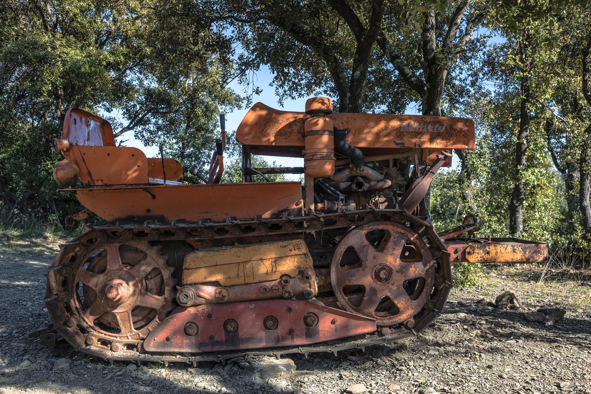 An abandoned tractor Fiat 332C in Roquebrun (Hérault, France). | Autor: Christian Ferrer | Licencja: CC BY 4.0 | Źródło: Wikimedia Commons