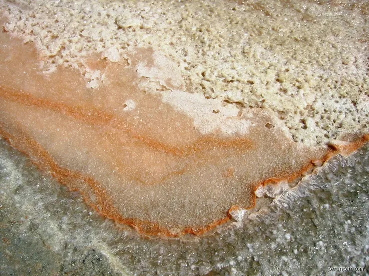 Fleur de Sel