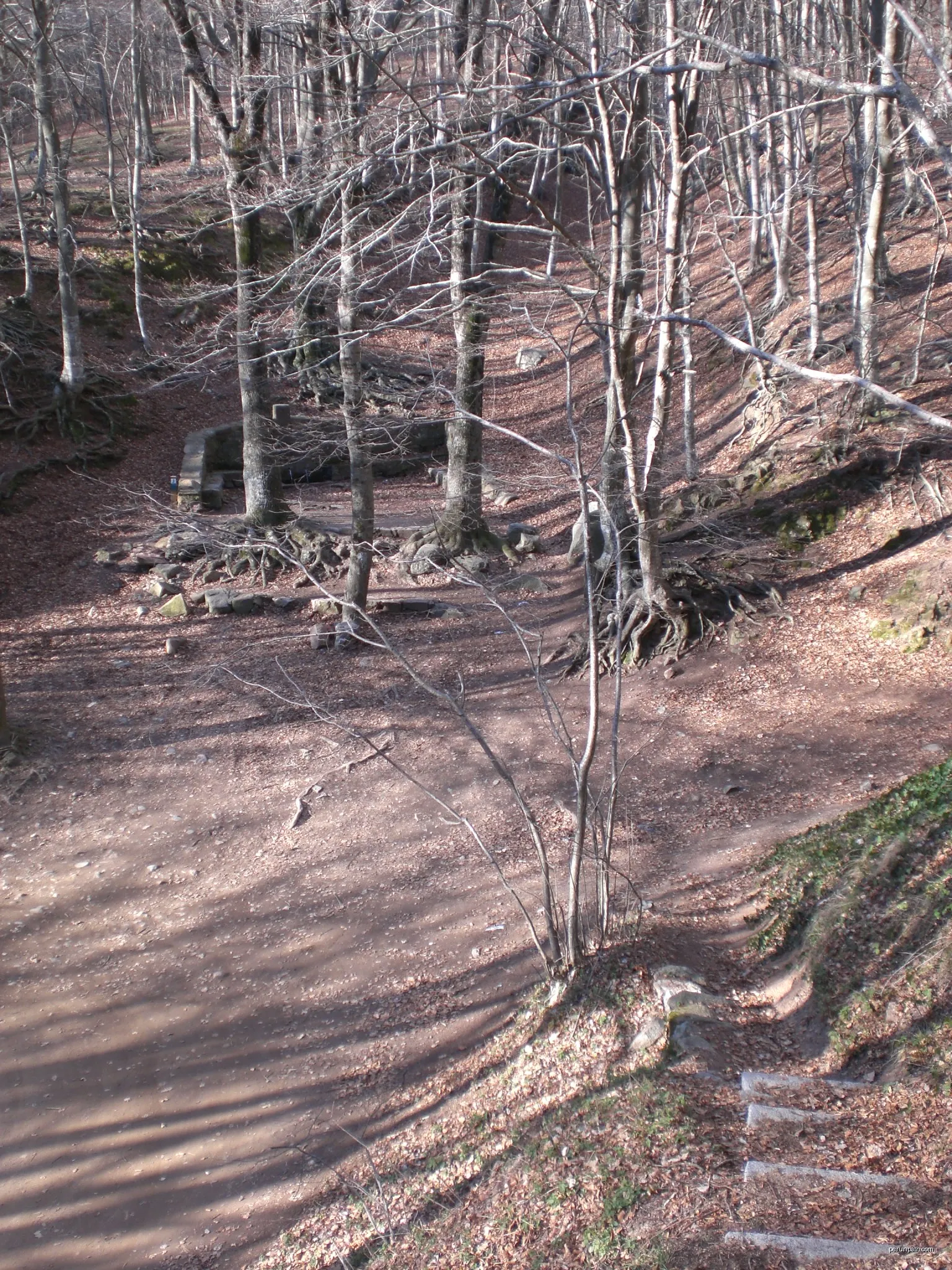 Font Bona, Montseny (febrer 2011) | Autor: EliziR | Licencja: CC BY-SA 3.0 | Źródło: Wikimedia Commons
