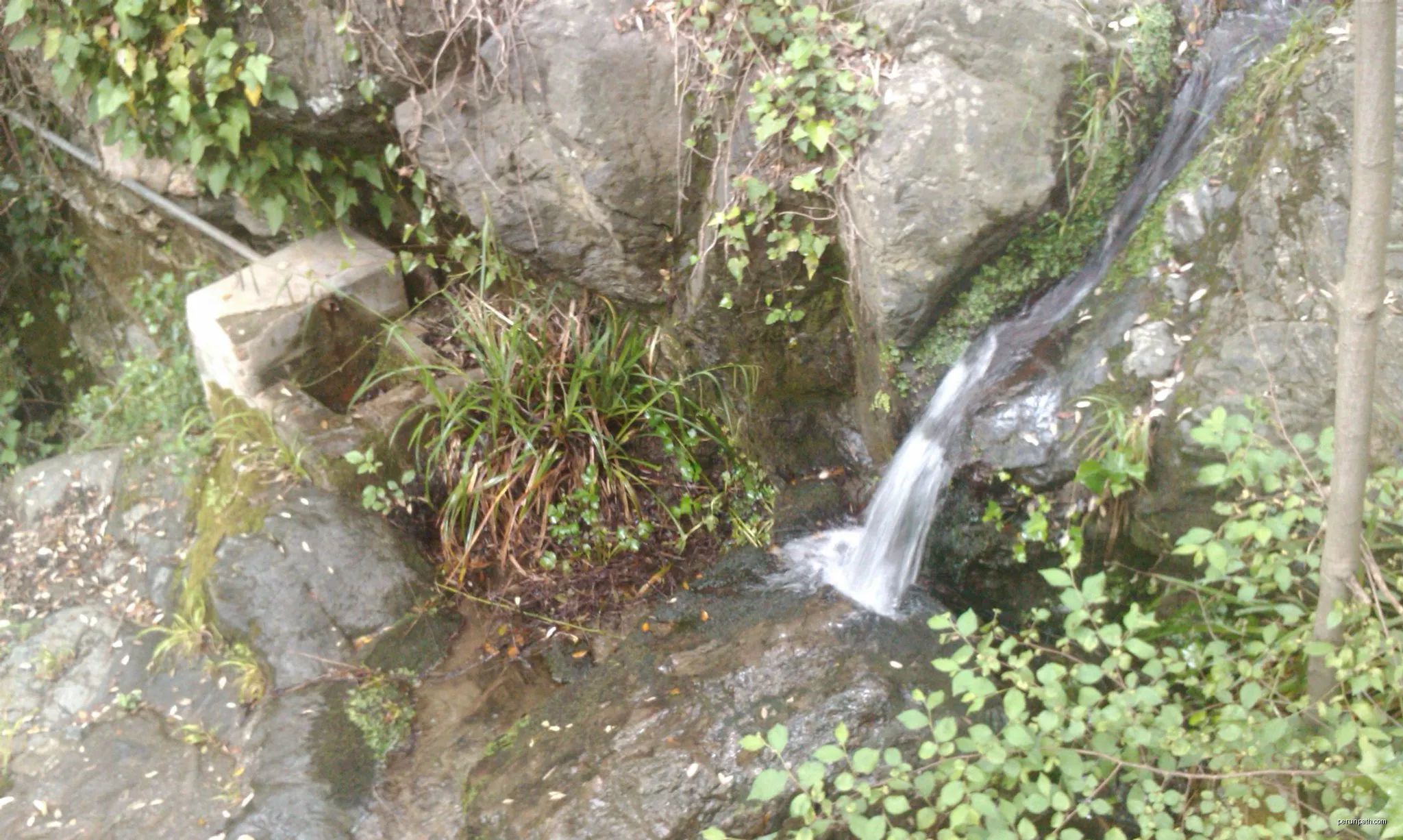 Circular d'Ègara - Terrassa