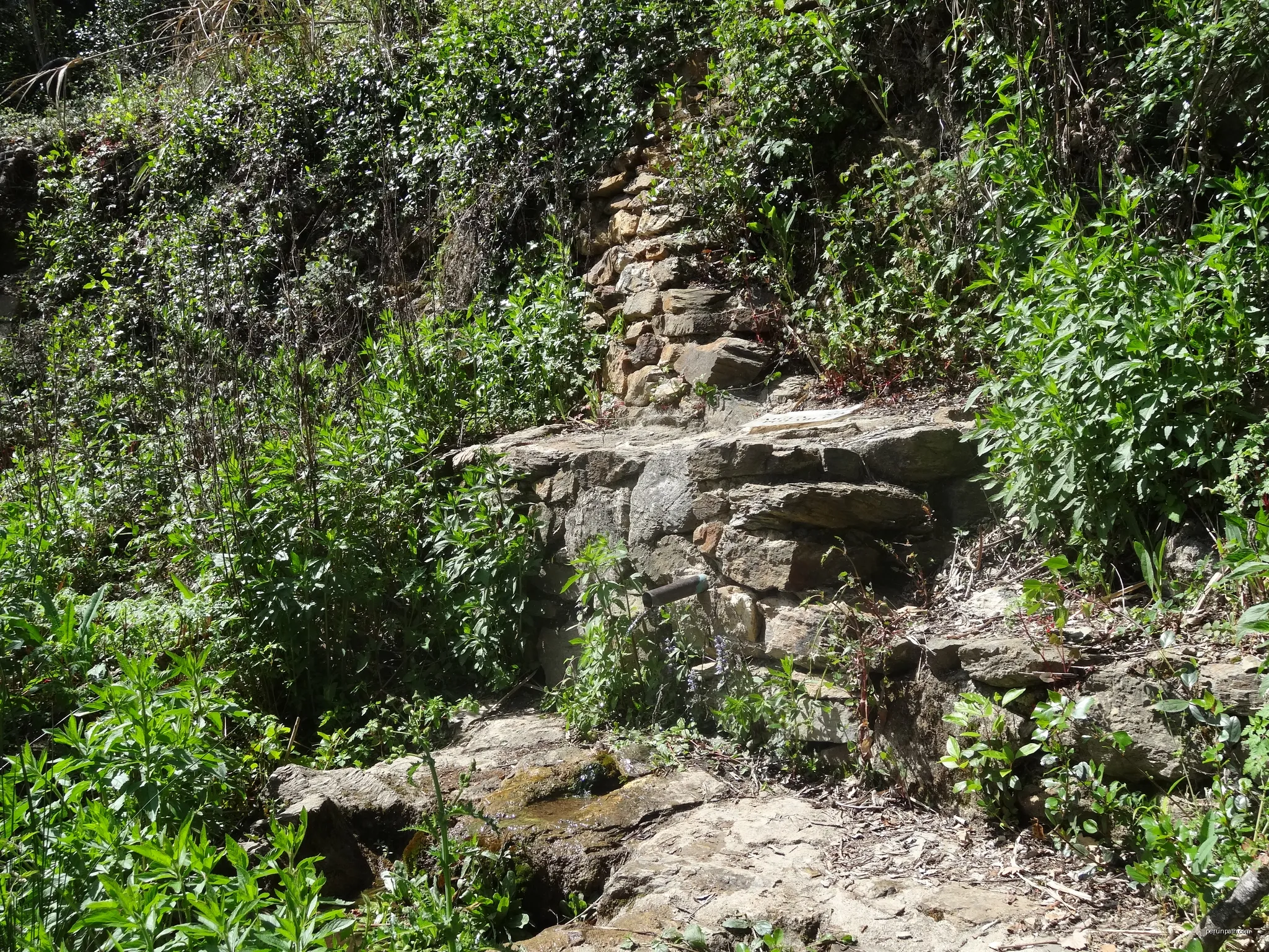 Font del Borni, Celrà (abril 2013) | Autor: EliziR | Licencja: CC BY-SA 3.0 | Źródło: Wikimedia Commons