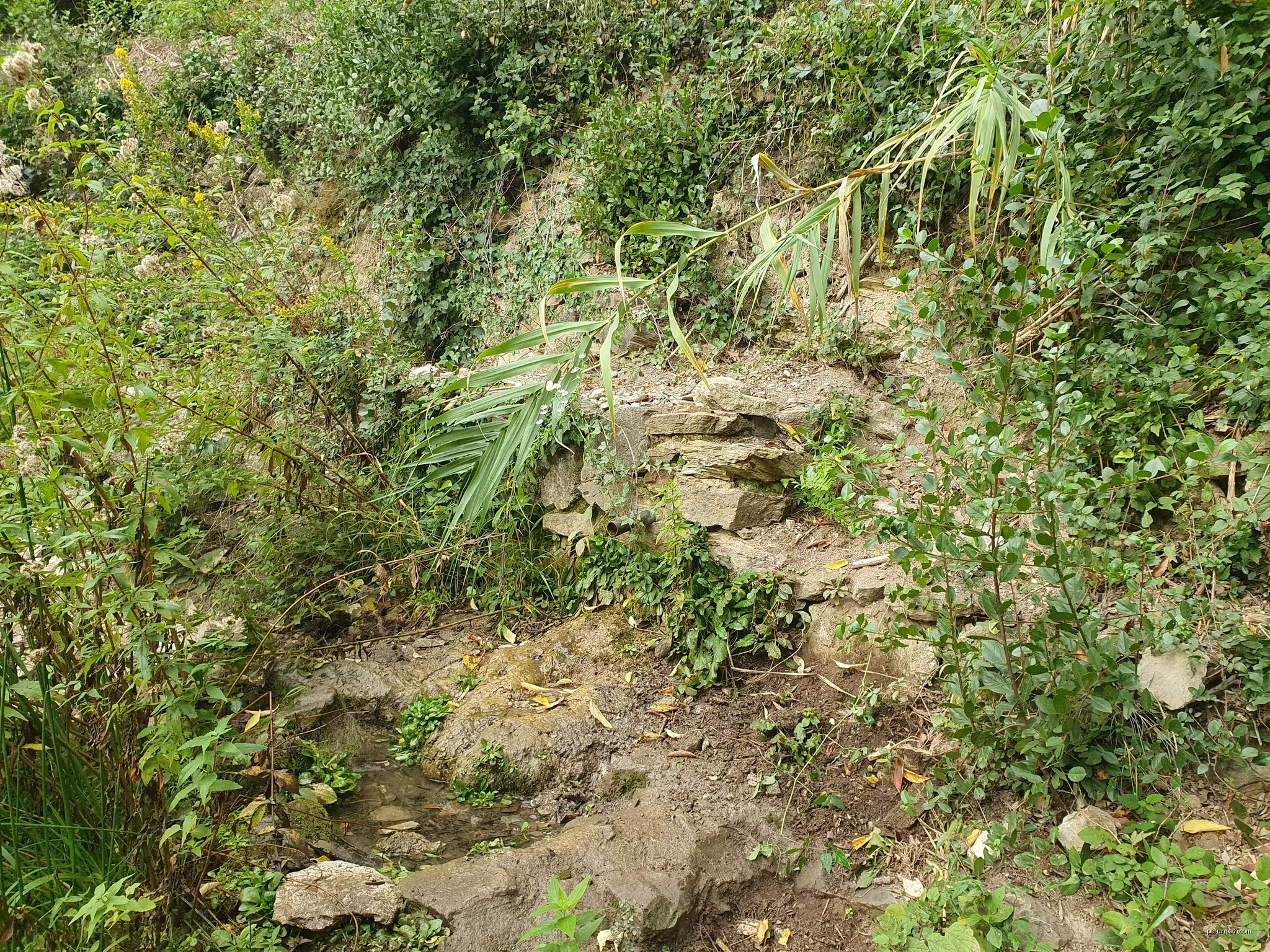 Font del Borni | Autor: Quelet | Licencja: CC BY-SA 3.0 | Źródło: Wikimedia Commons