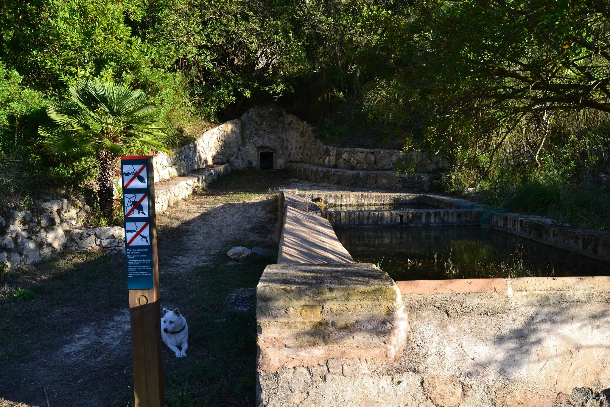 Castell Vell d'Olivella