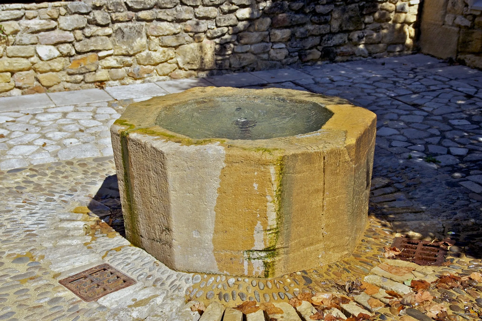 Boucle des Pléniers (version courte)