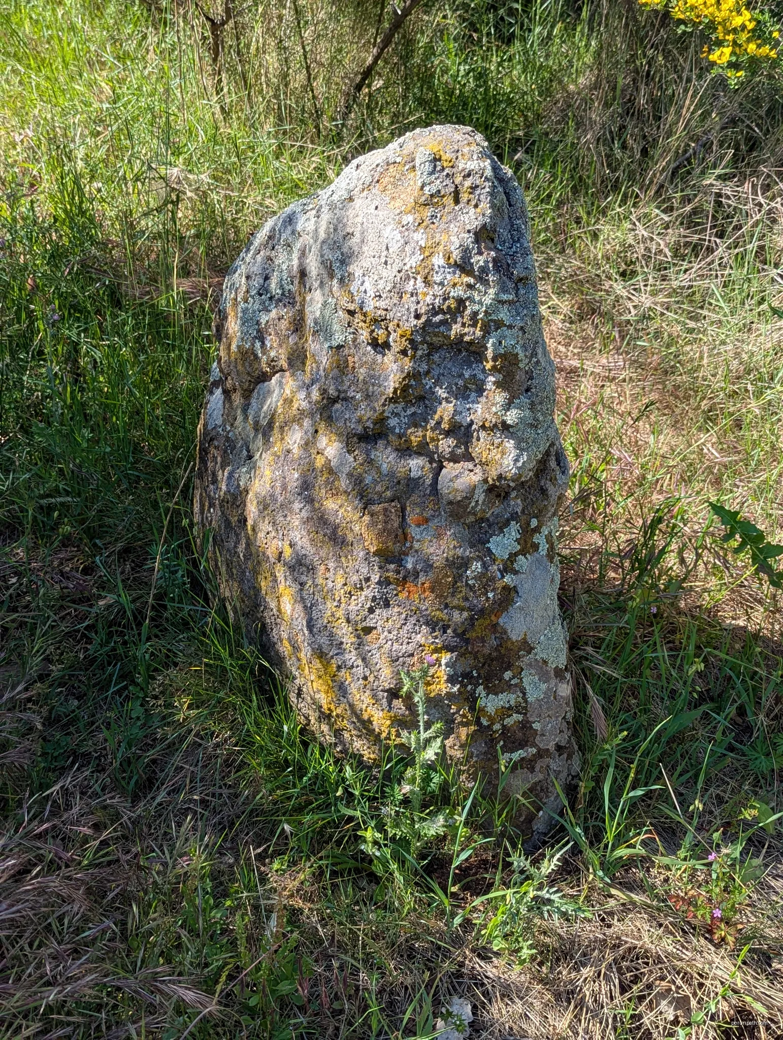 Au sud du dolmen de Peyreficade, fait moins d'un mètre de hauteur. | Autor: RobOrRoss | Licencja: CC0 | Źródło: Wikimedia Commons