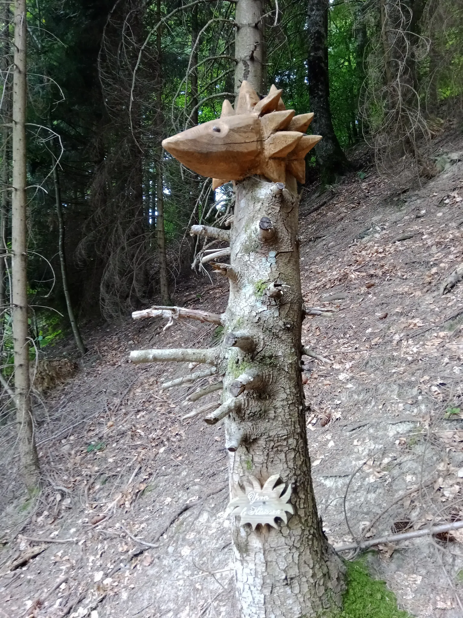 Vallon de Tamié