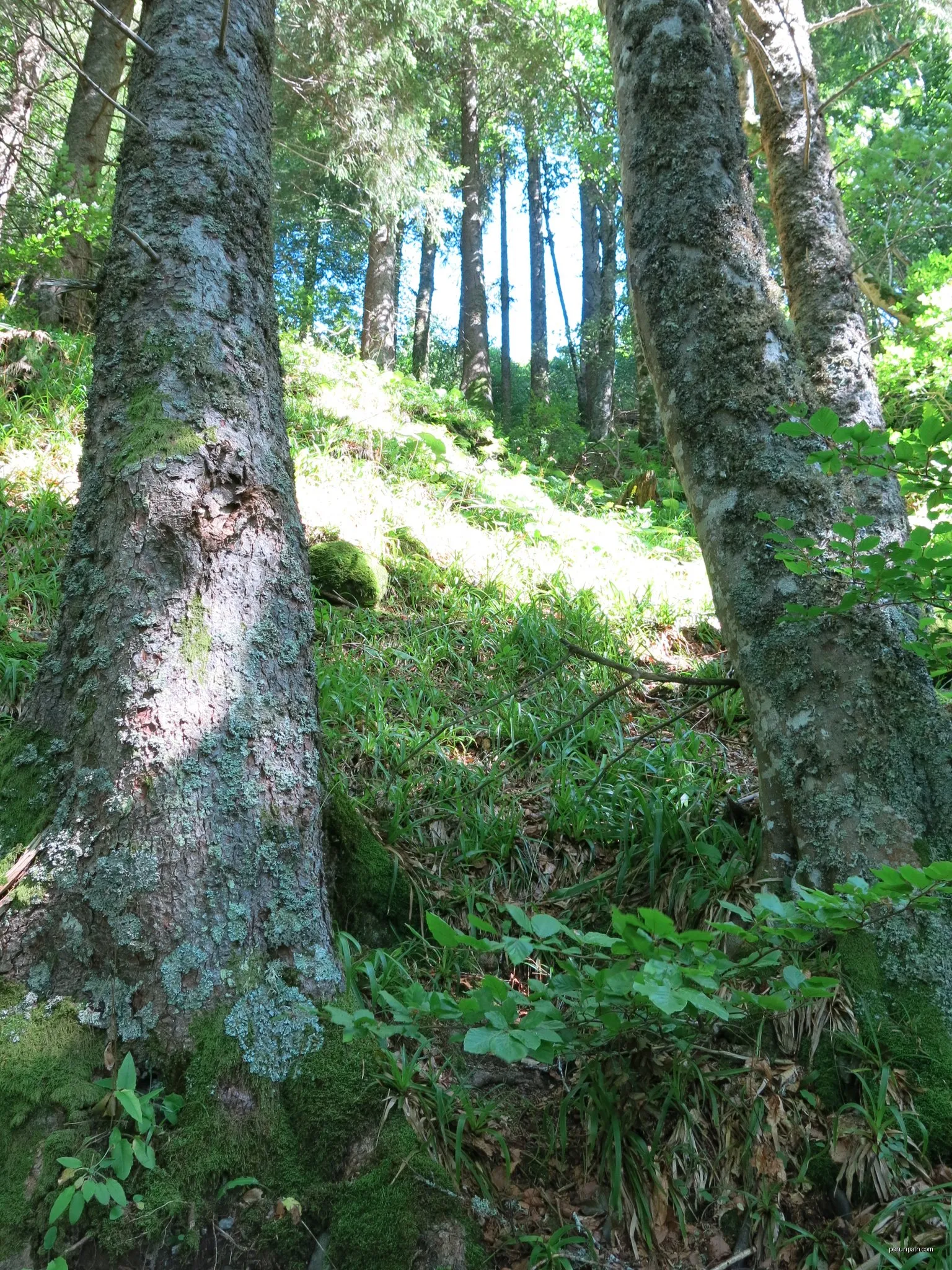 Le Creux de Soucy
