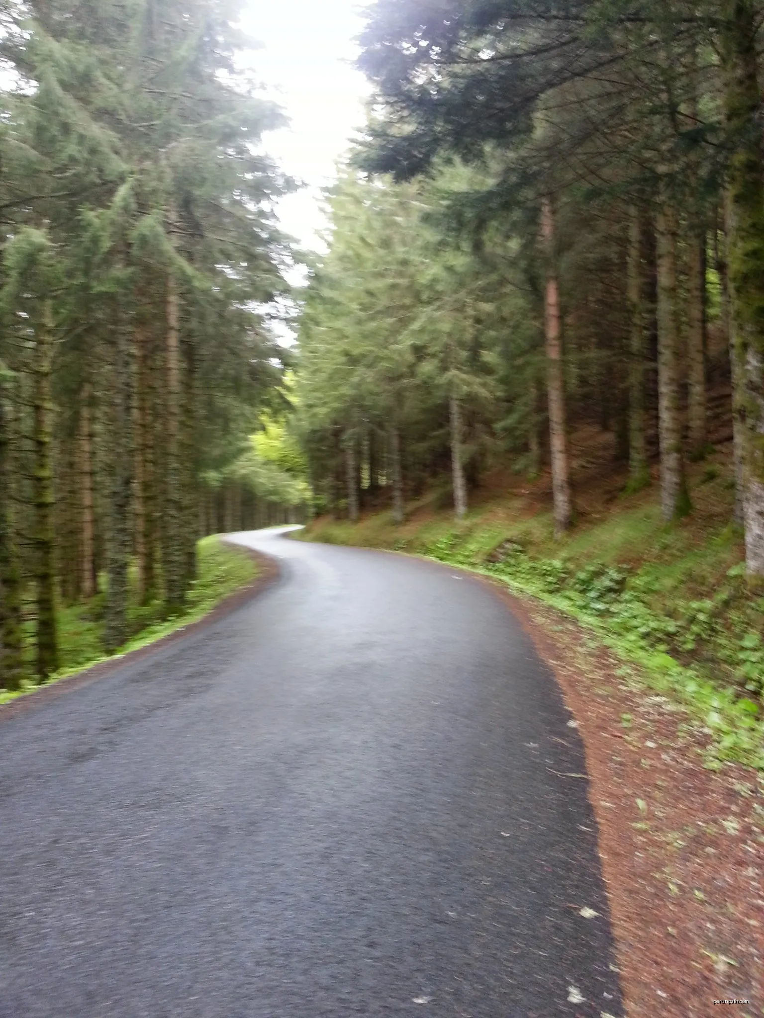 Bois de la Tour