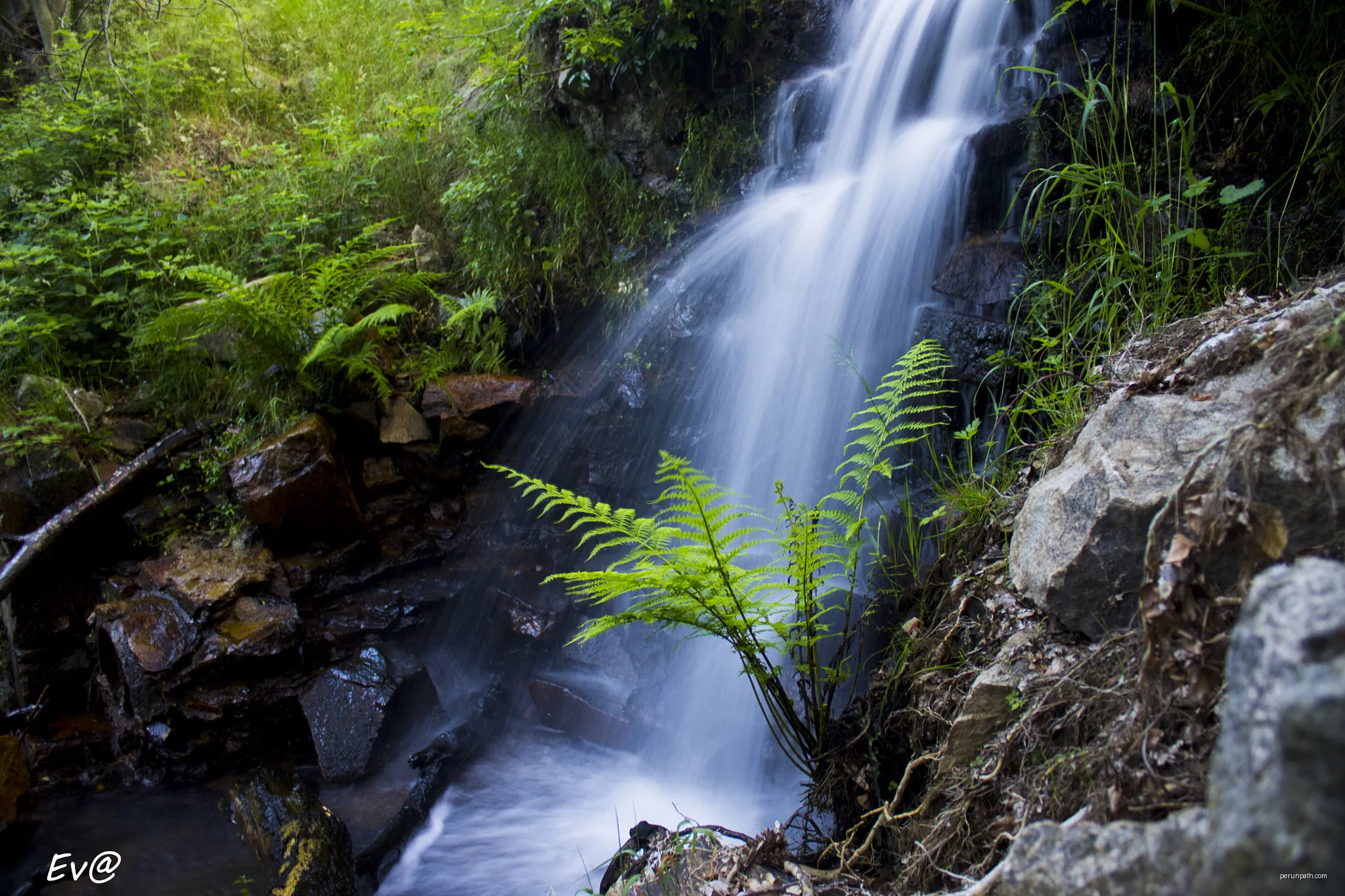 Itinerari Forestal de Fontmartina