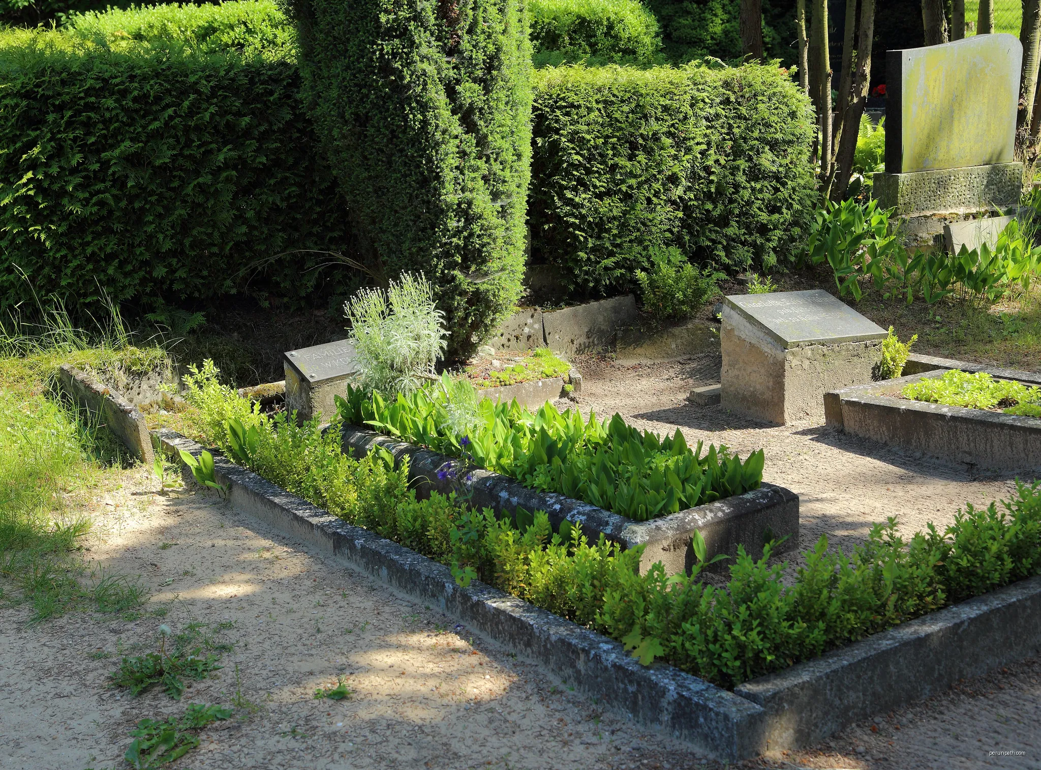 Grave of painter Dr Walter Kühne and family in the cemetery of Jamlitz, Landkreis Dahme-Spreewald, Brandenburg, Germany. | Autor: J.-H. Janßen | Licencja: CC BY-SA 3.0 | Źródło: Wikimedia Commons