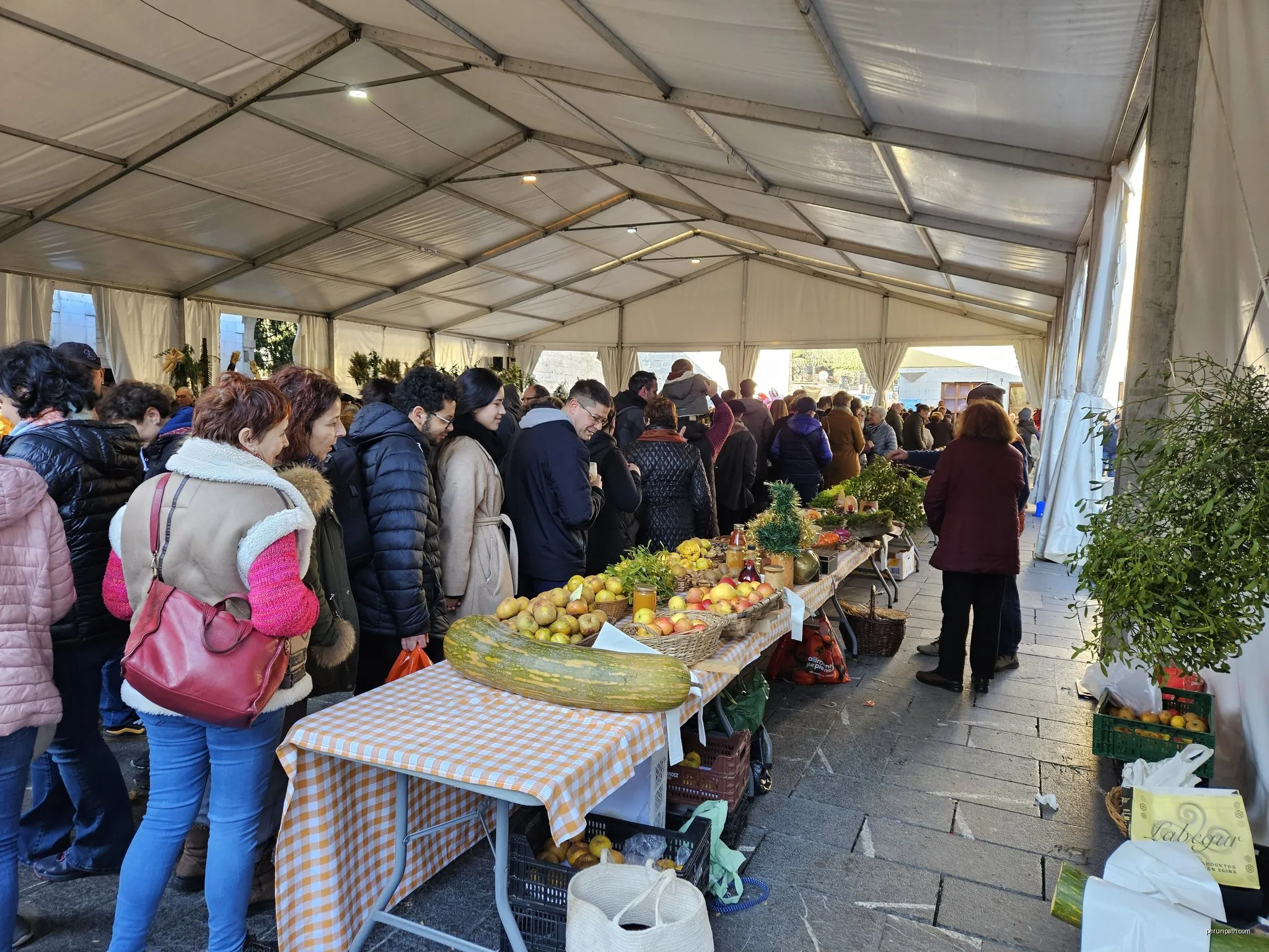 E01 Mendibai ibilbidea: Elgoibar - Azpeitia