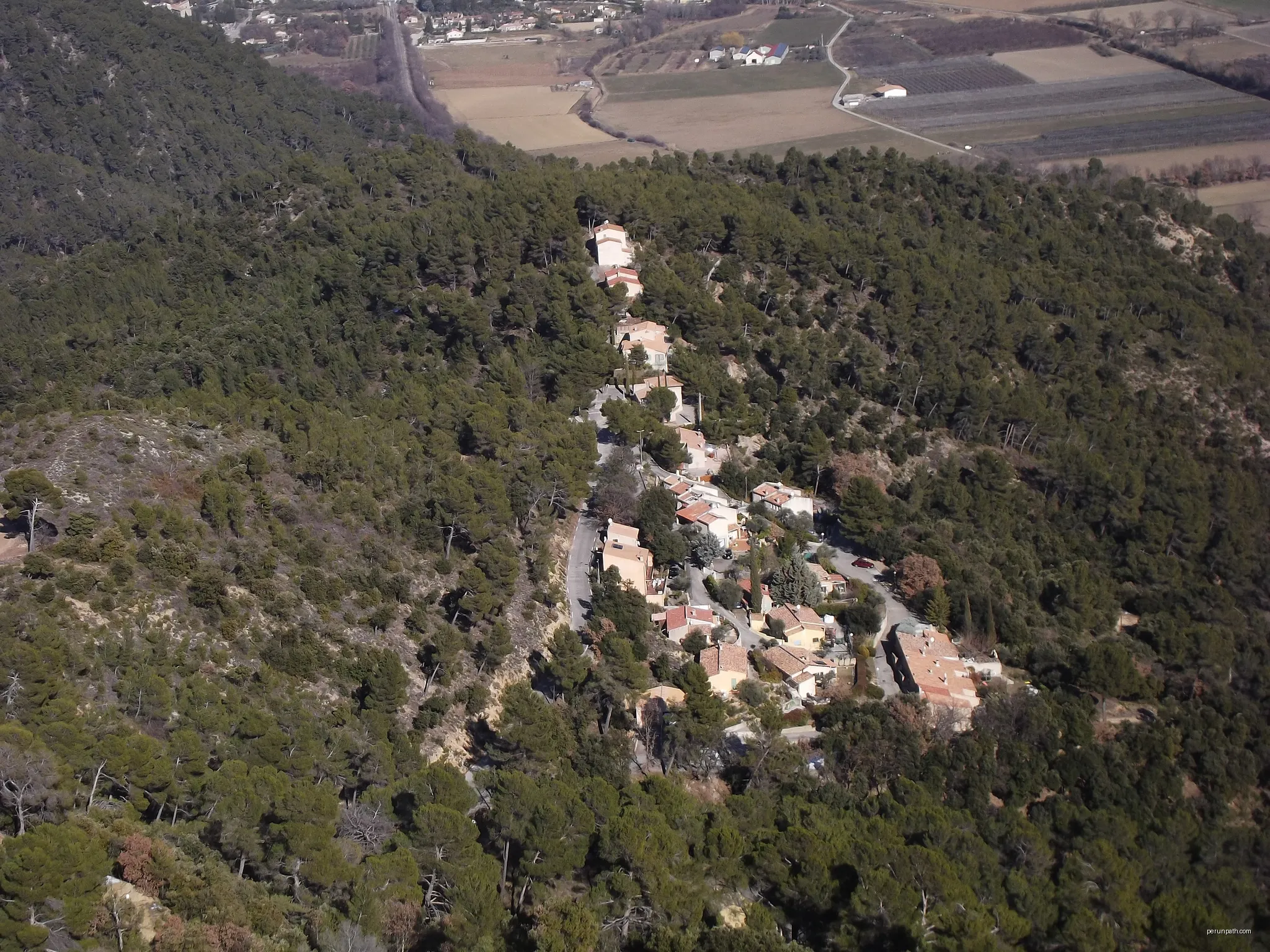 La Forêt du Prieuré