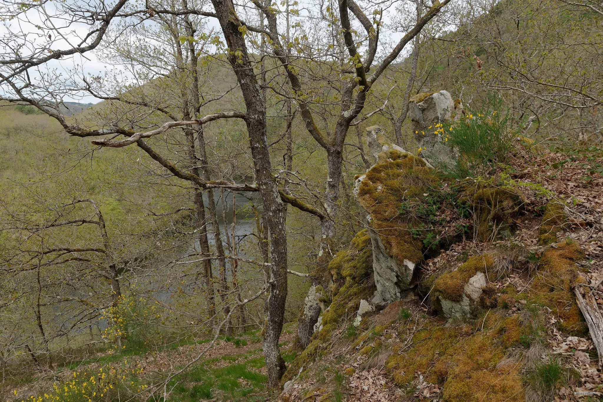 Les Gorges de la Sioule