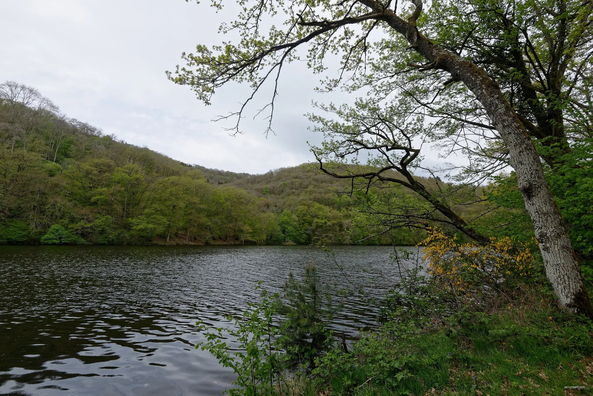 Les Gorges de la Sioule