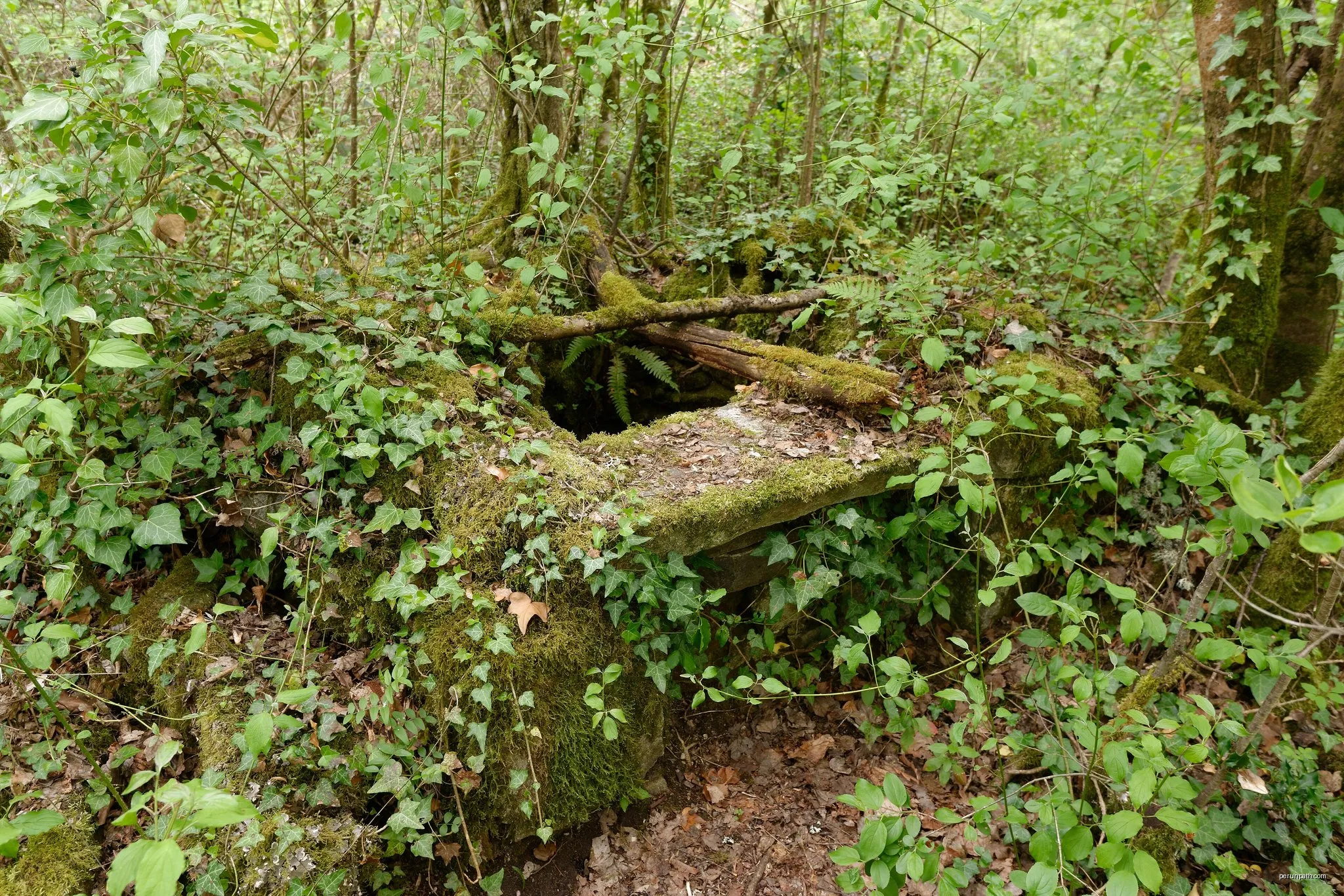 Les Gorges de la Sioule