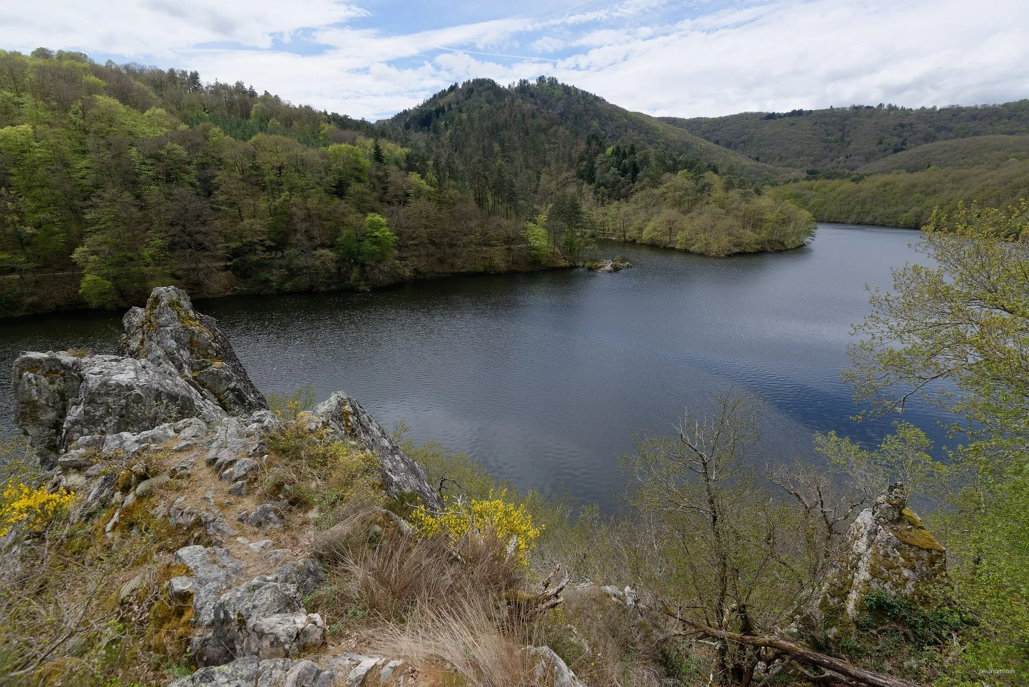 Bois de Motaillas