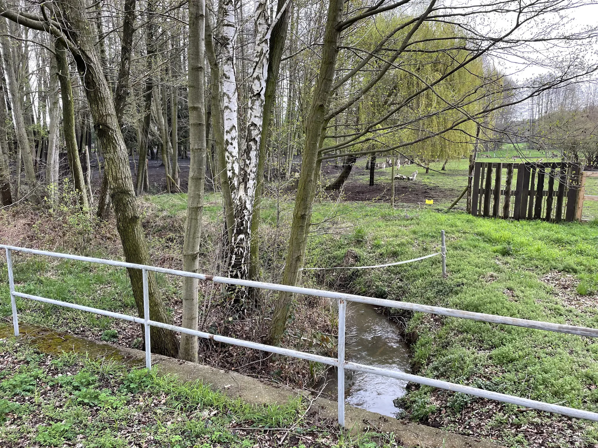 Göritzer Fließ, Zufluss des Südumfluters in Brandenburg | Autor: Assenmacher | Licencja: CC BY-SA 4.0 | Źródło: Wikimedia Commons