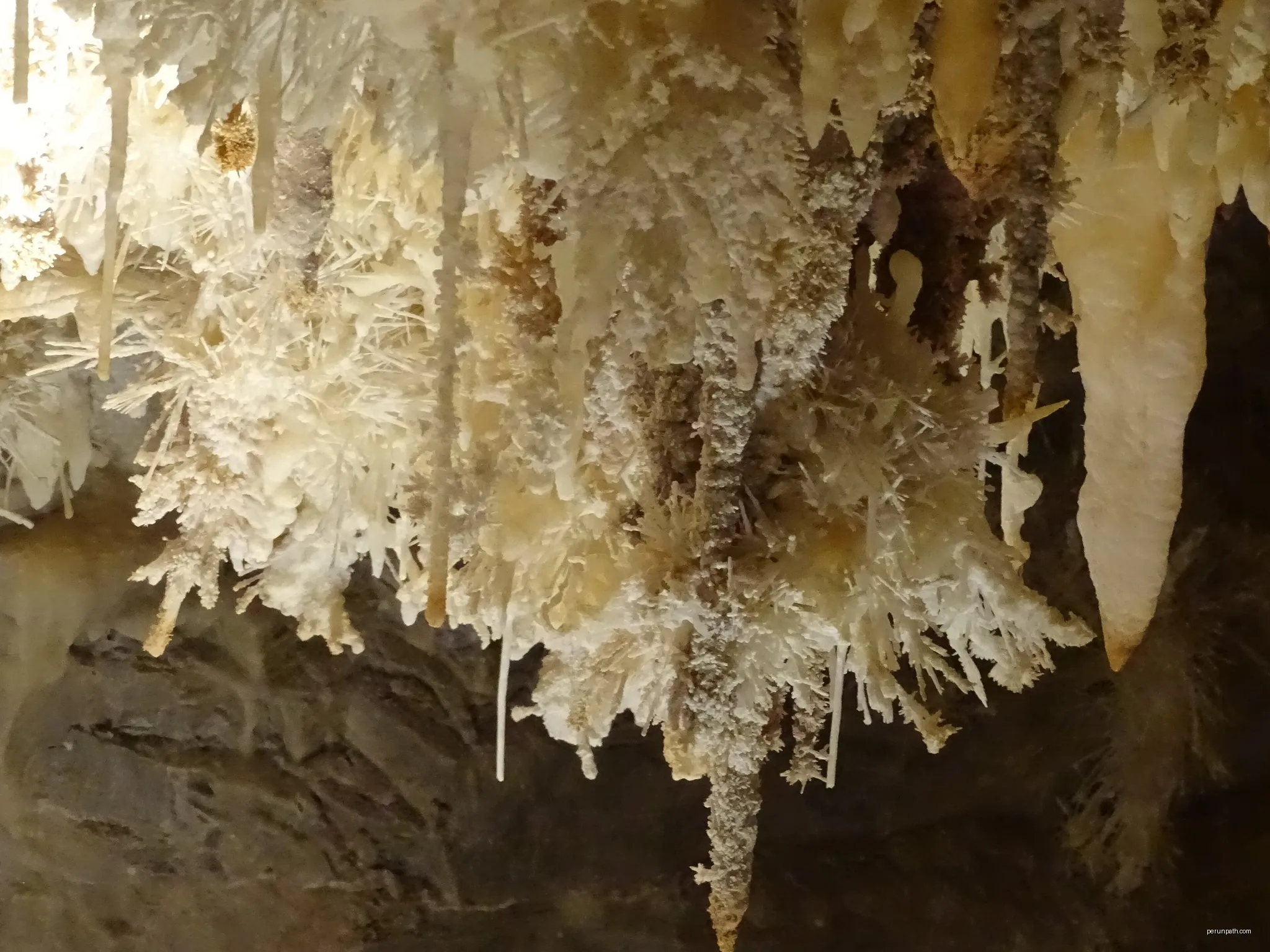 Le Gouffre Géant de Cabrespine ː profondeur de 250 mètres pour un volume de 1 600 000 m³.
Température constante toute l’année à 14°c | Autor: Selmoval | Licencja: CC BY-SA 4.0 | Źródło: Wikimedia Commons