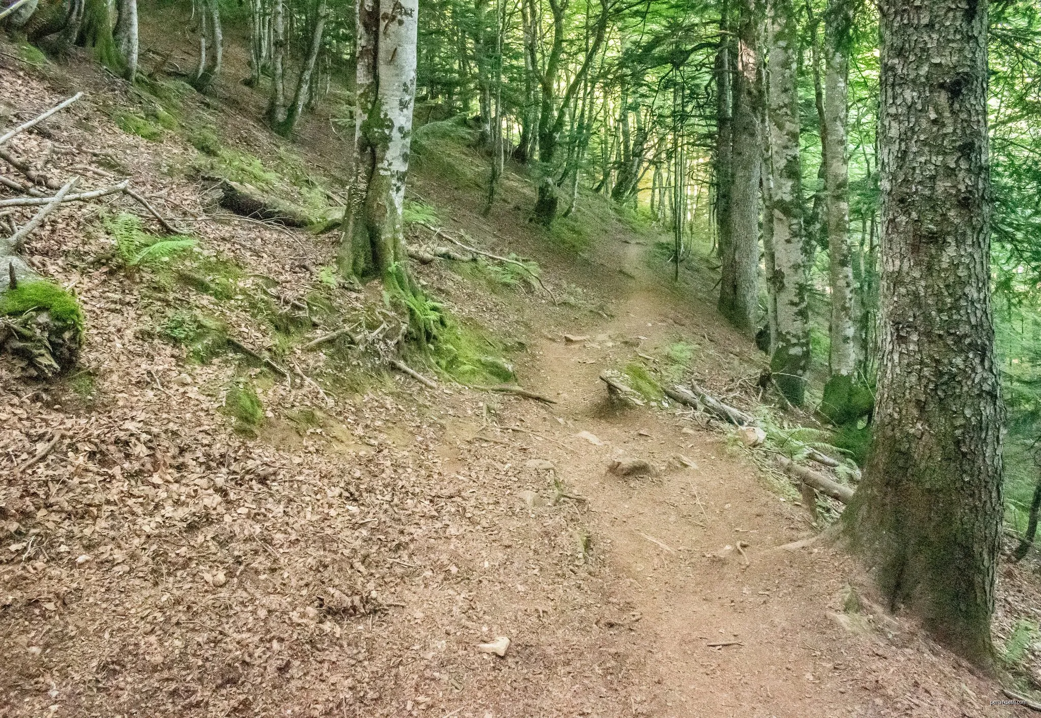 La traversée des Pyrénées - sec.4